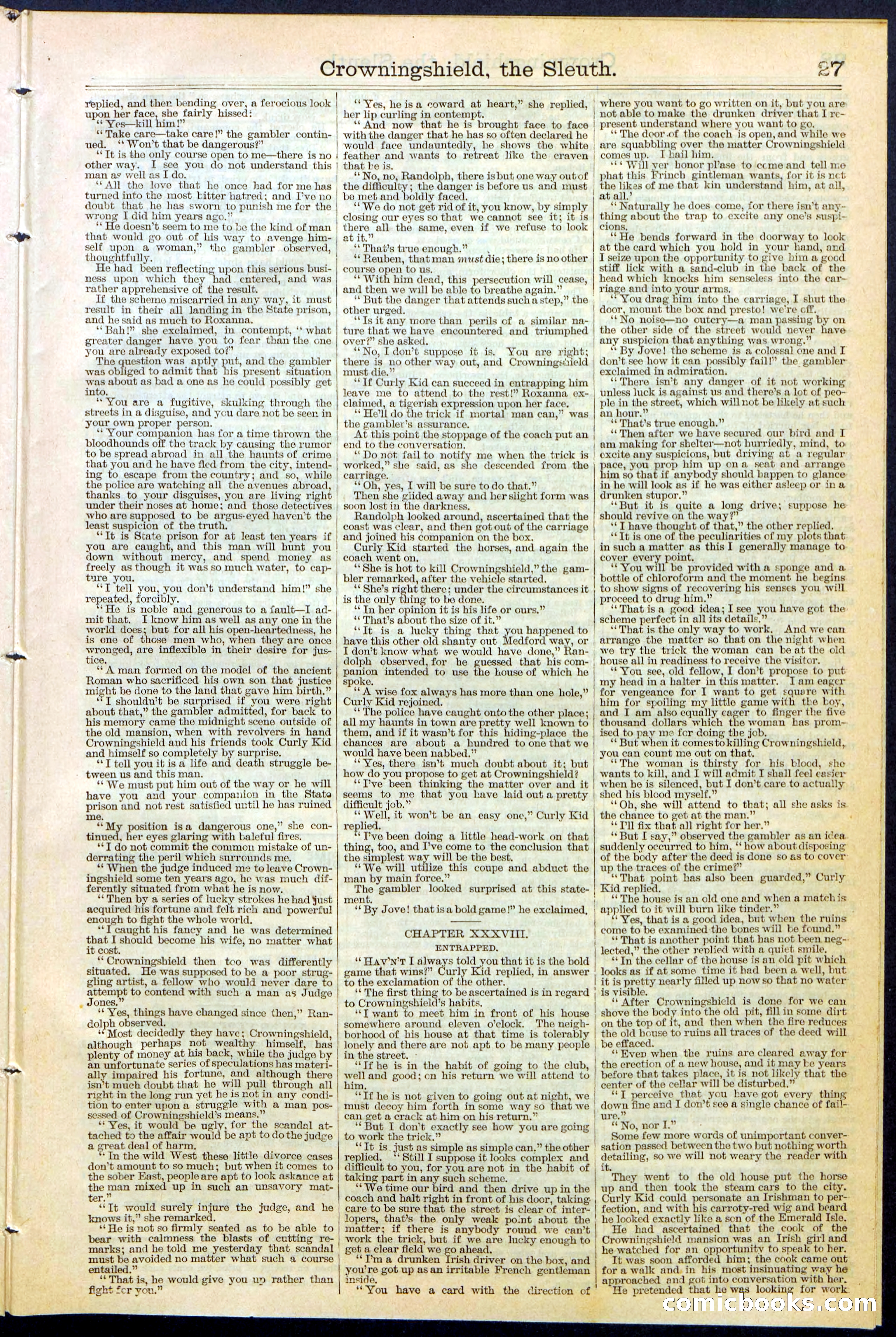 Beadle's New York Dime Library No. 363 — page 27 of 32