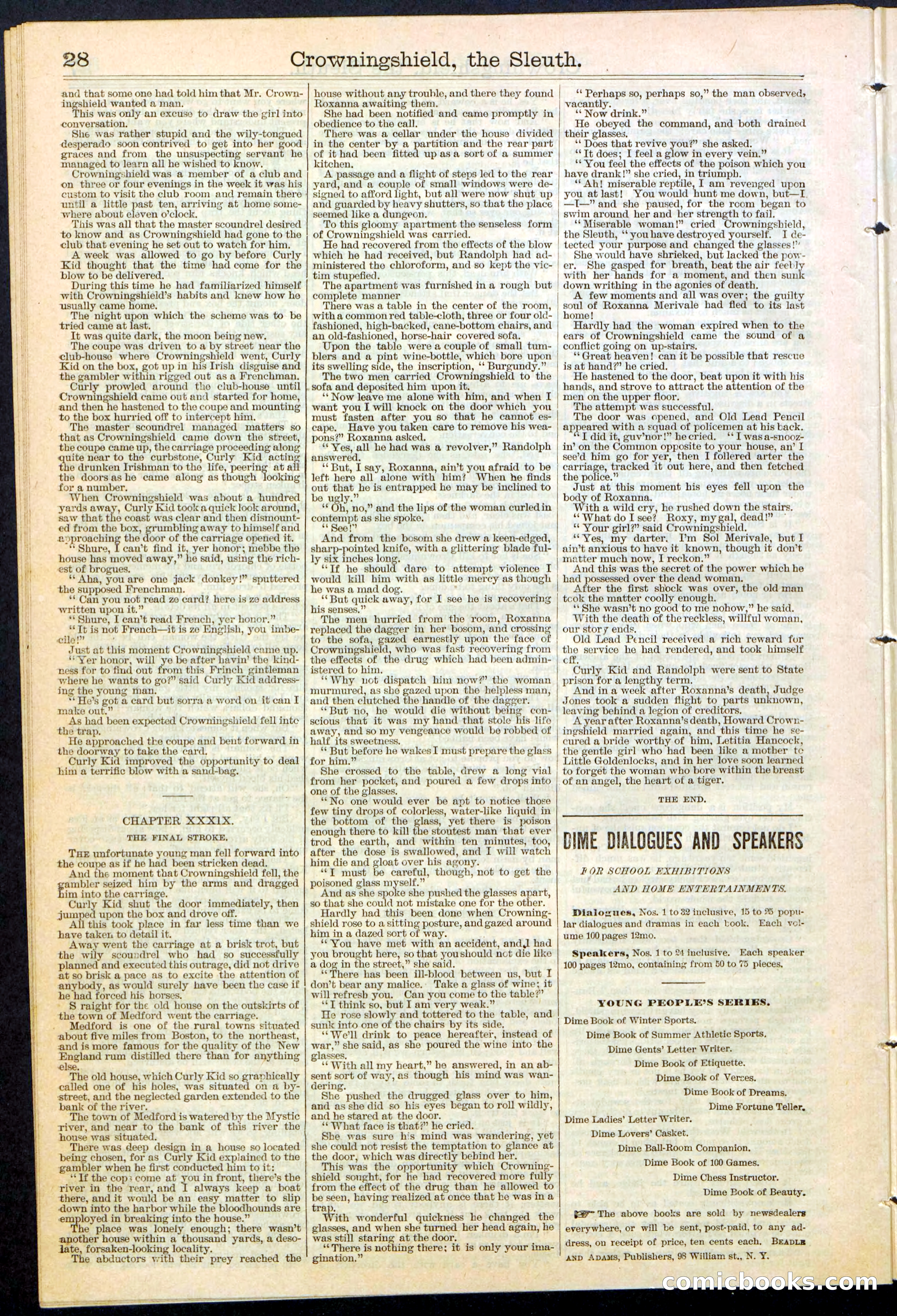 Beadle's New York Dime Library No. 363 — page 28 of 32