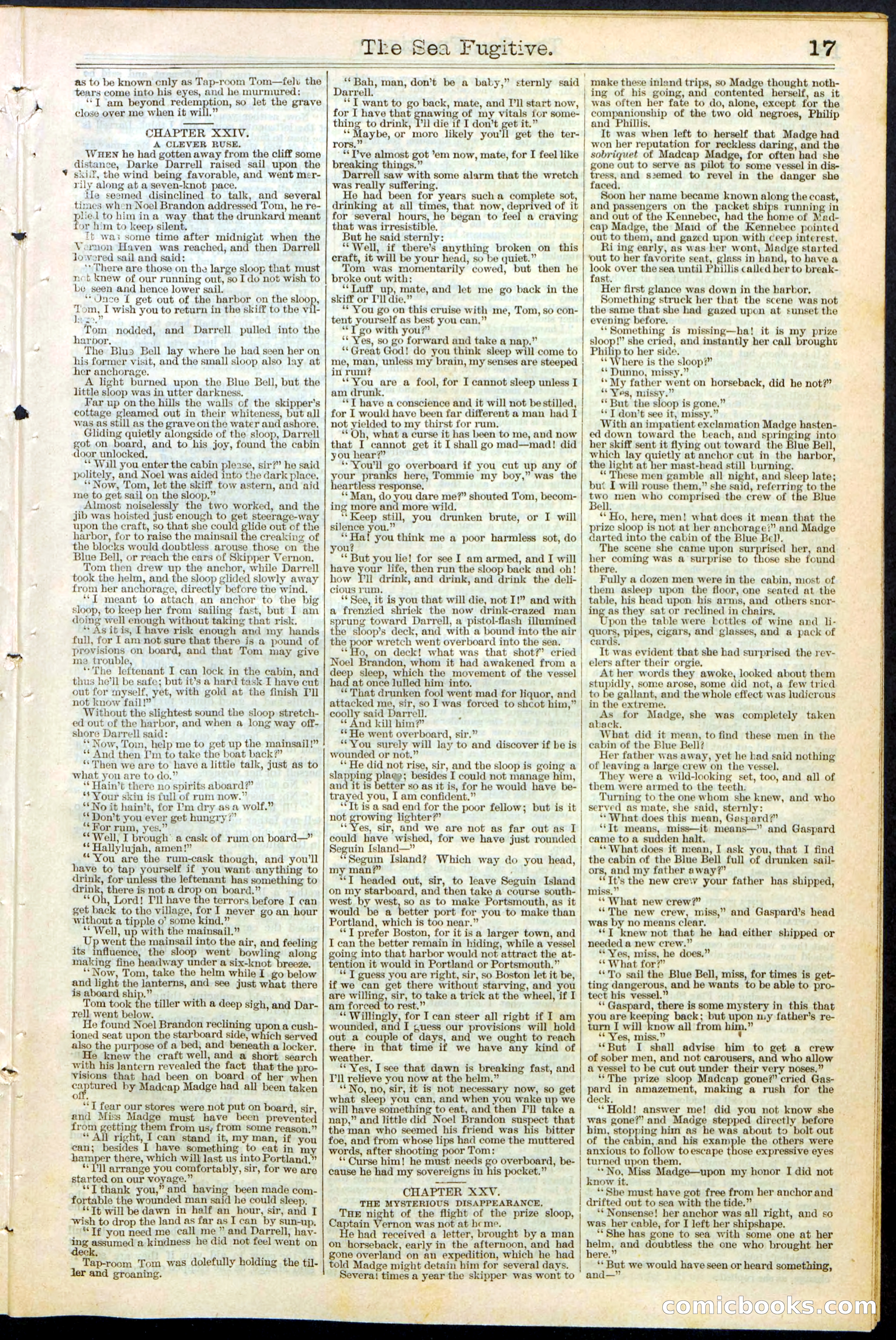Beadle's Dime Library No. 364 — page 17 of 32