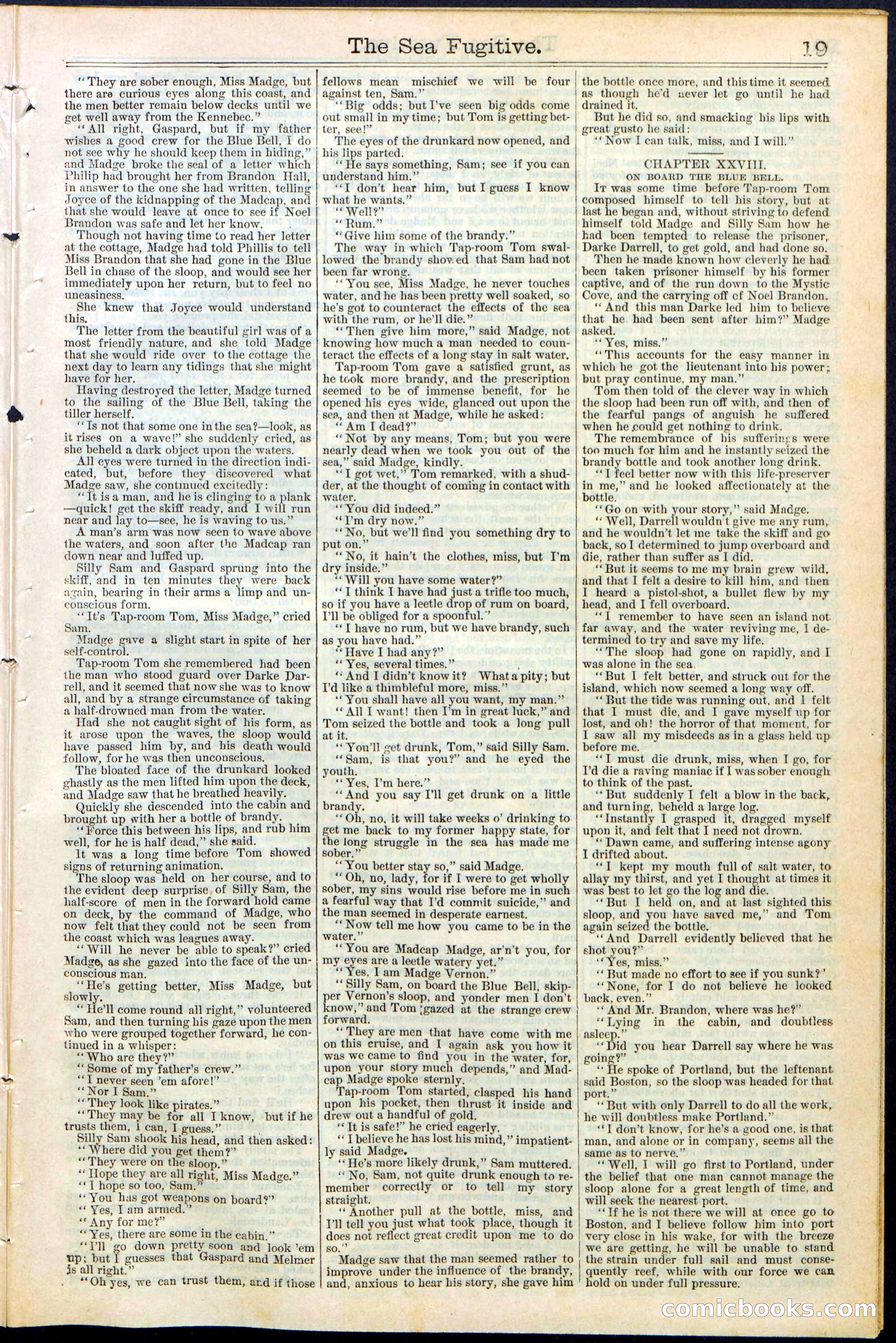 Beadle's Dime Library No. 364 — page 19 of 32