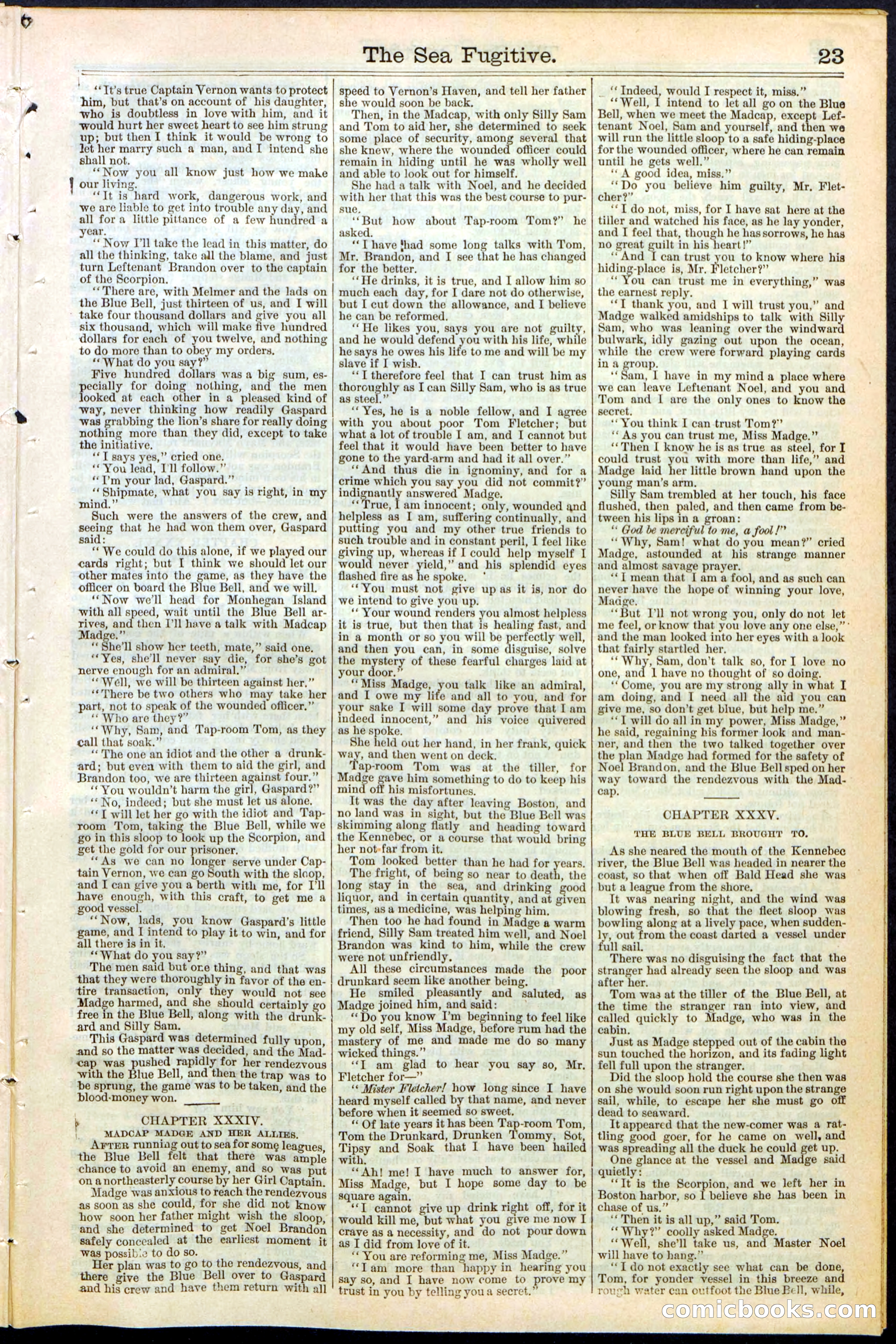 Beadle's Dime Library No. 364 — page 23 of 32
