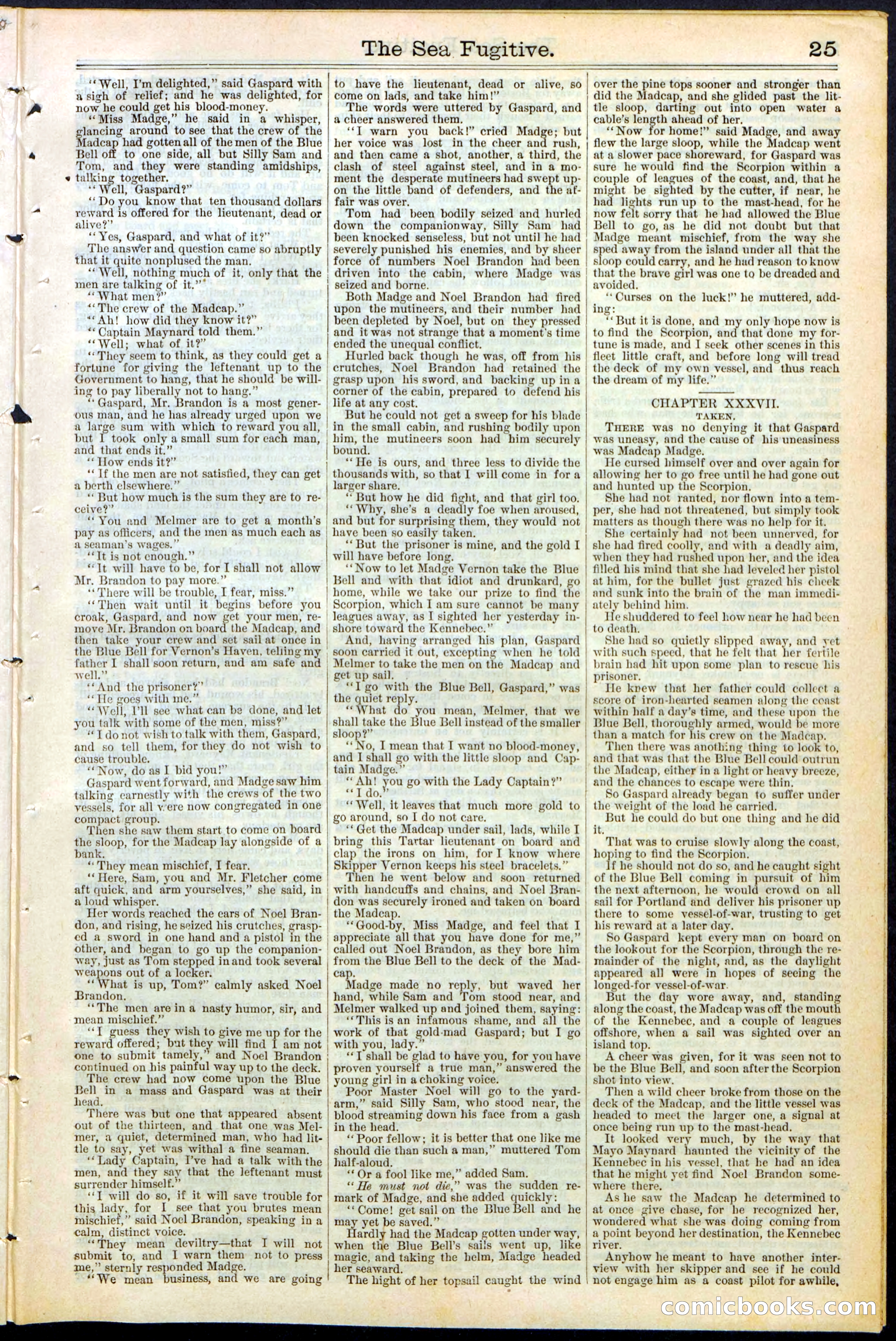 Beadle's Dime Library No. 364 — page 25 of 32