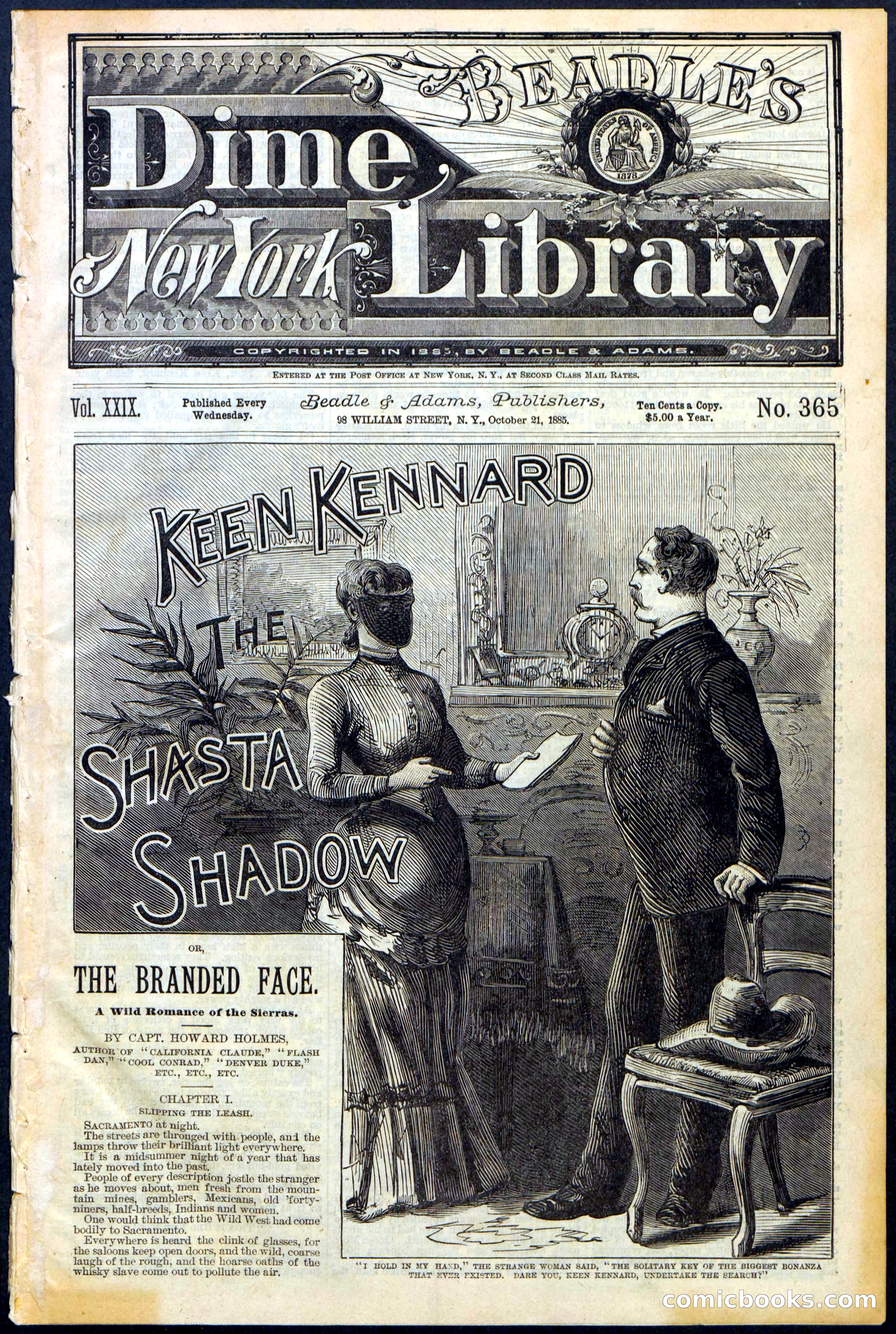 Beadle's New York Dime Library No. 365