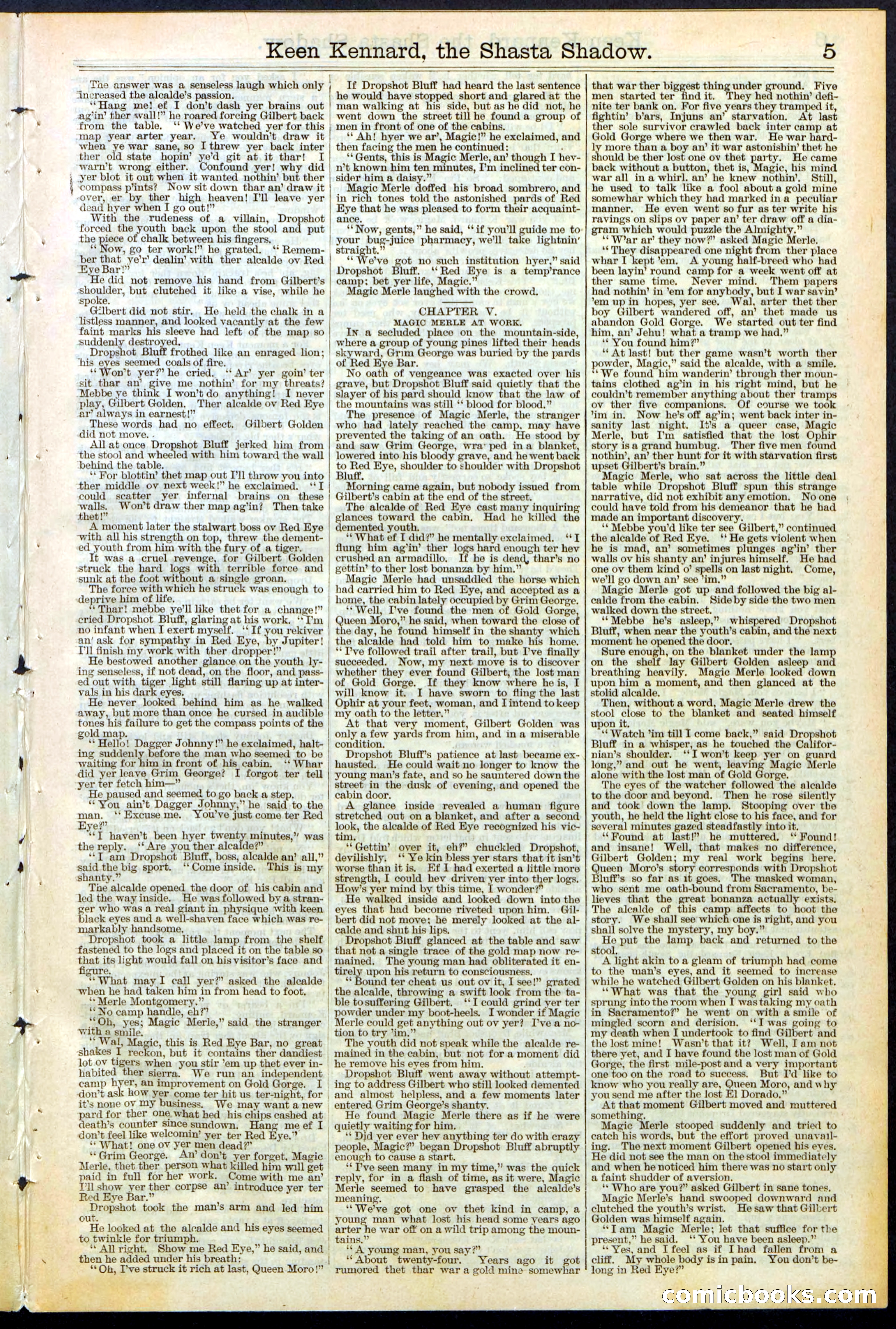 Beadle's New York Dime Library No. 365 — page 5 of 32