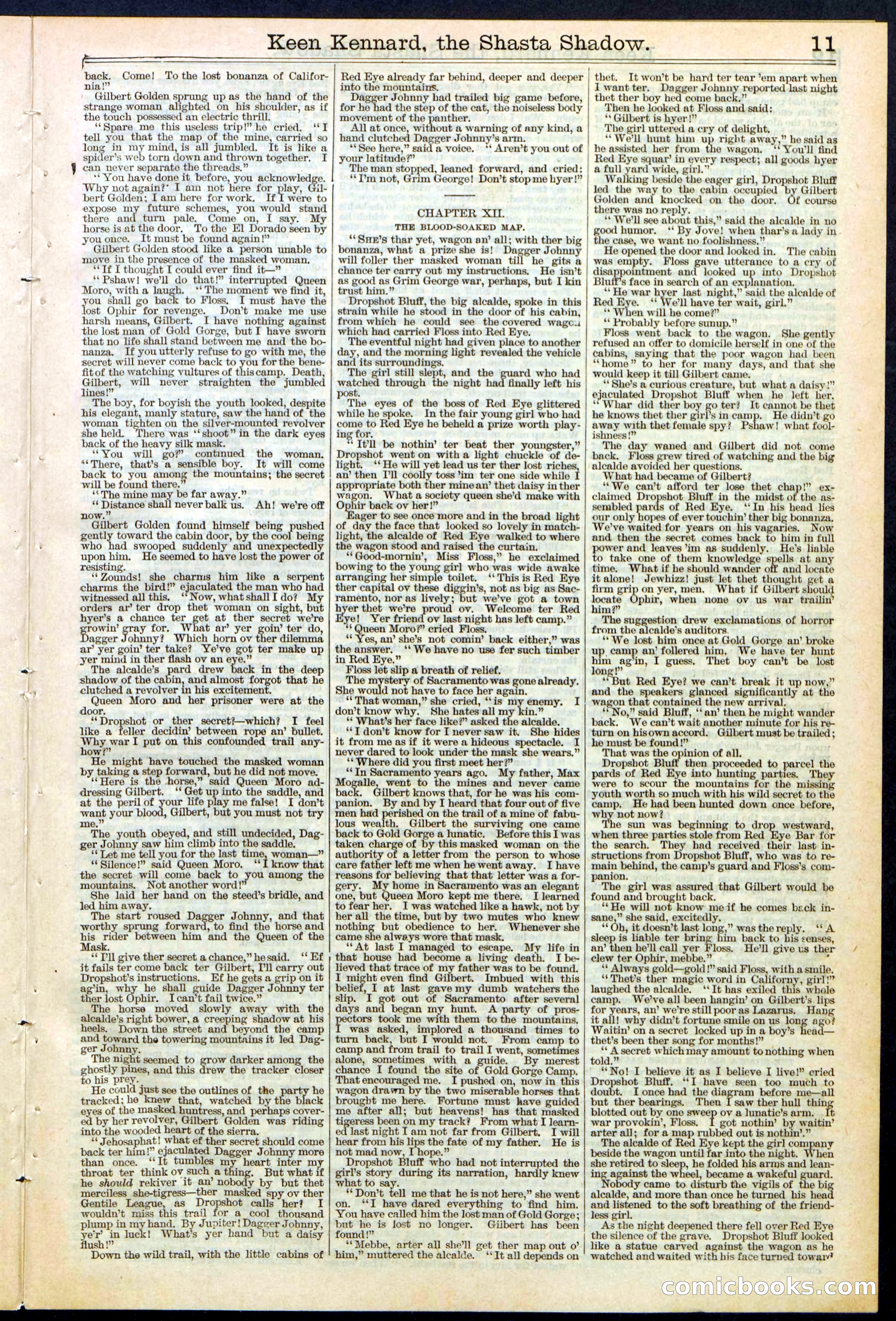 Beadle's New York Dime Library No. 365 — page 11 of 32