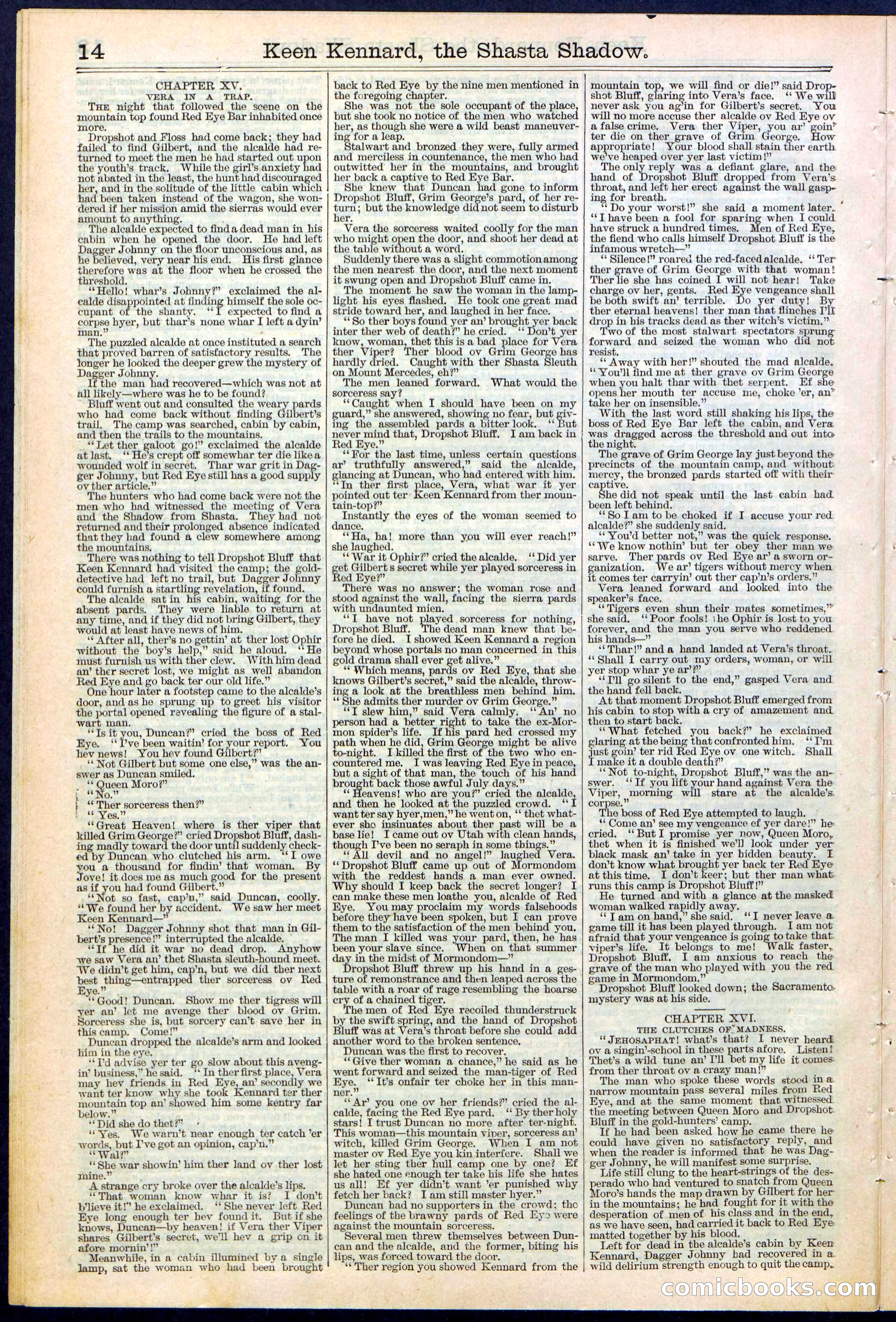 Beadle's New York Dime Library No. 365 — page 14 of 32