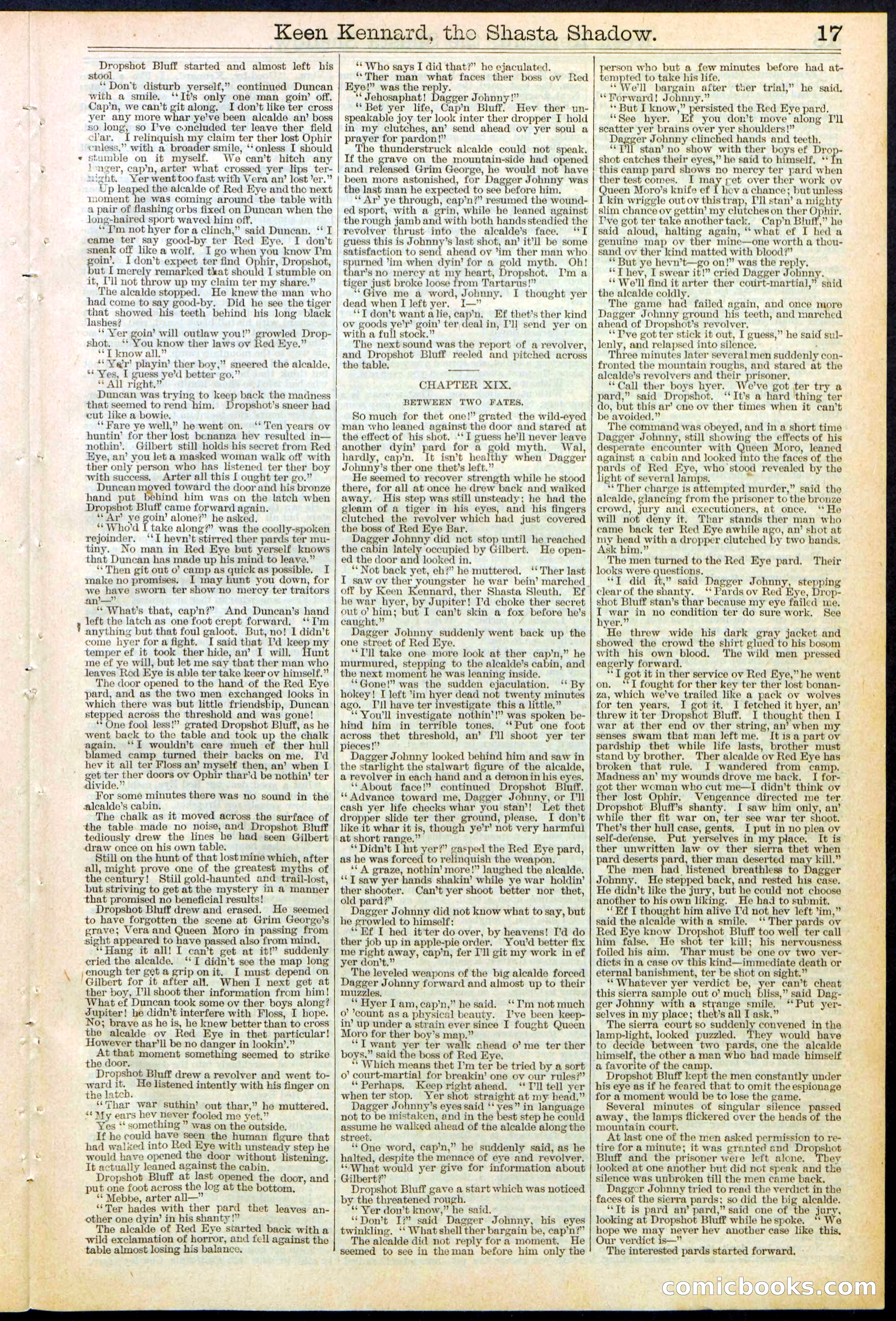 Beadle's New York Dime Library No. 365 — page 17 of 32