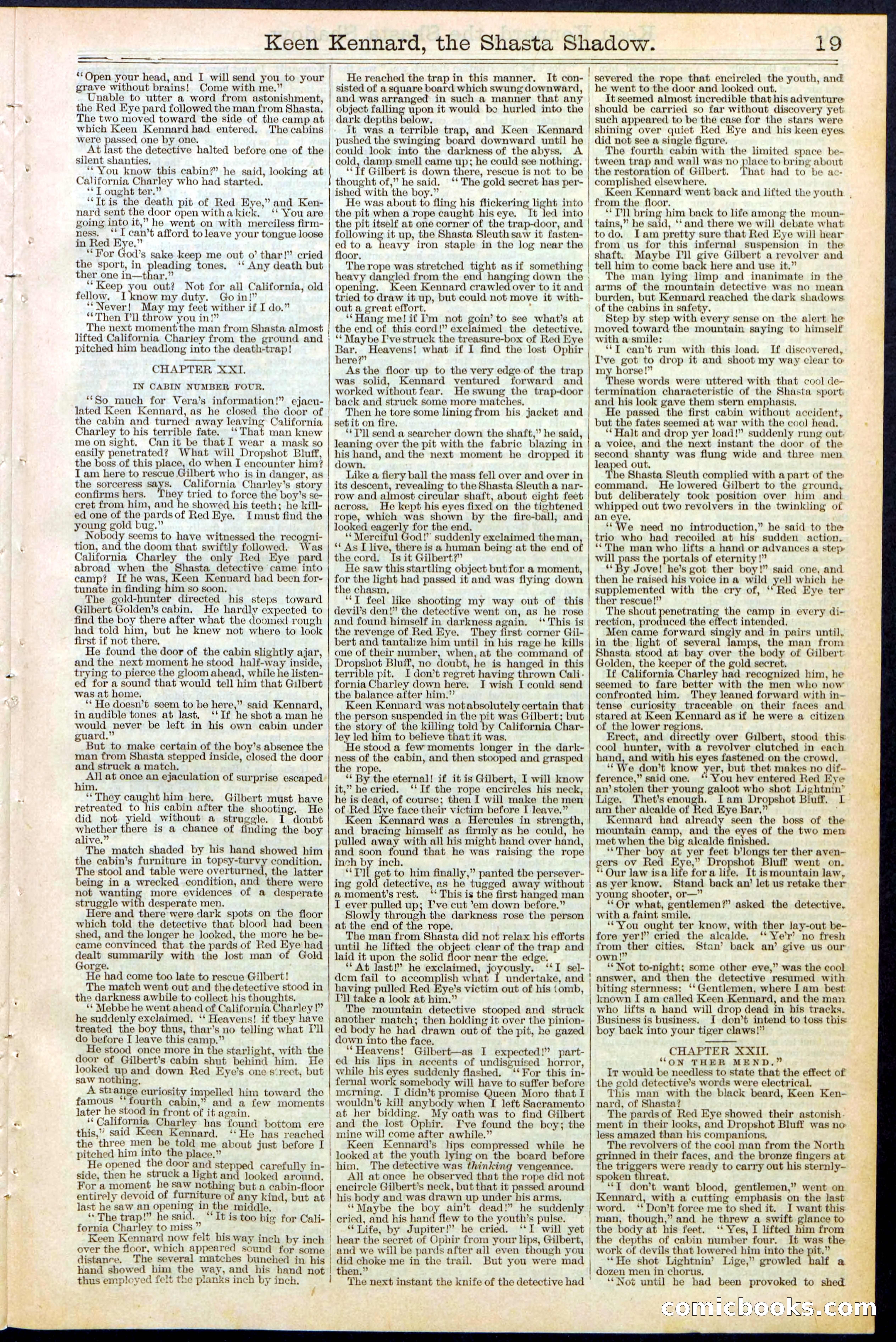 Beadle's New York Dime Library No. 365 — page 19 of 32