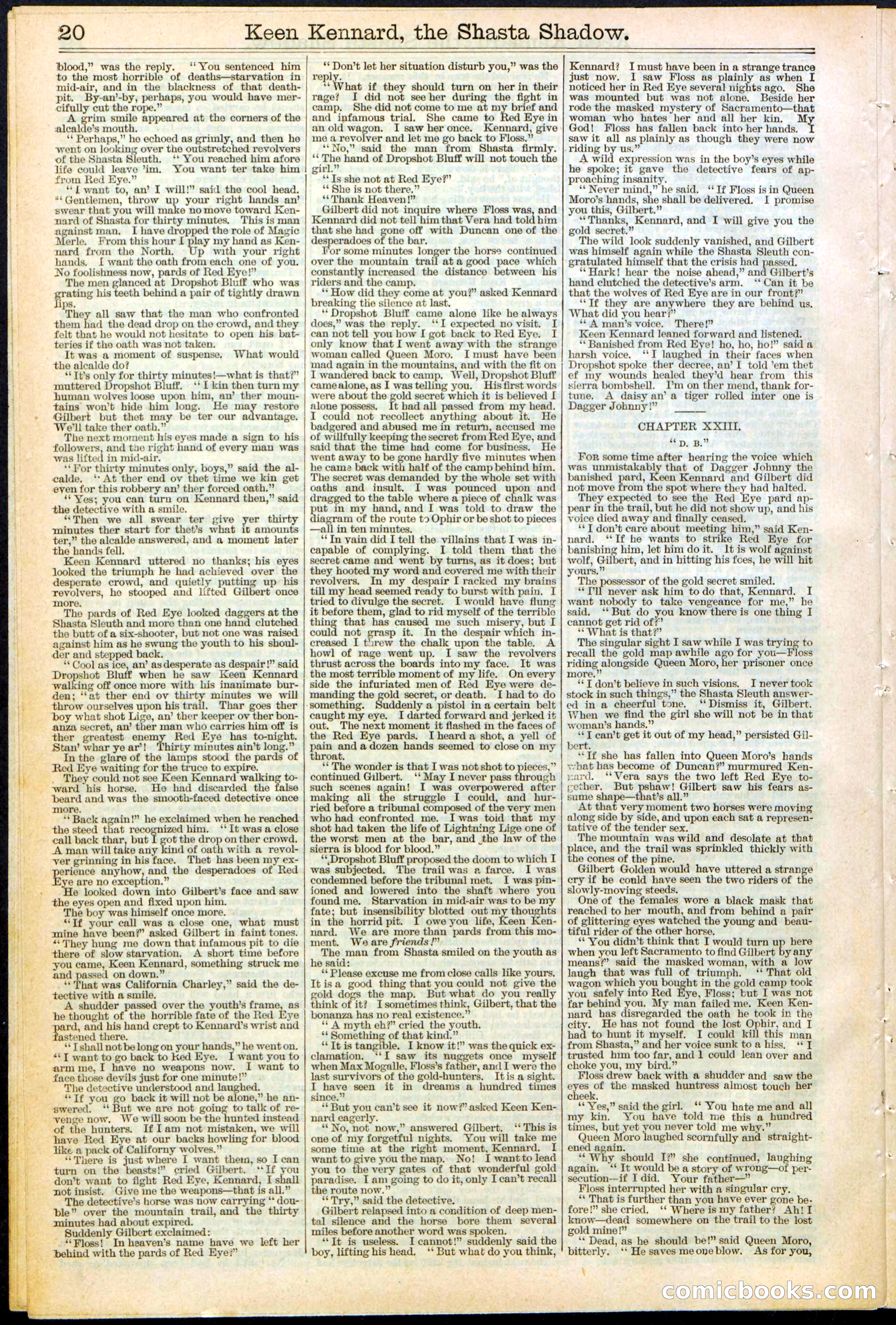 Beadle's New York Dime Library No. 365 — page 20 of 32