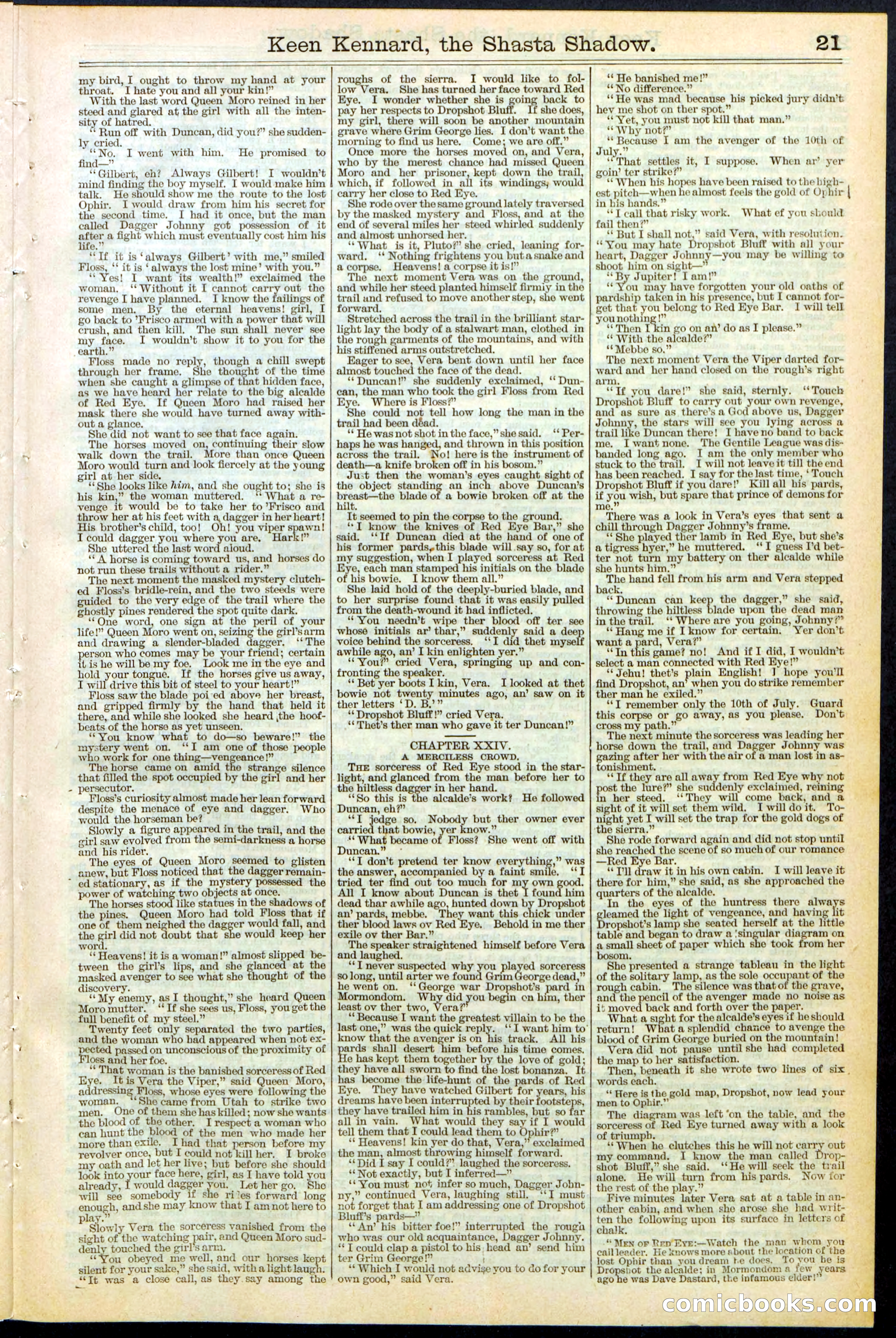 Beadle's New York Dime Library No. 365 — page 21 of 32