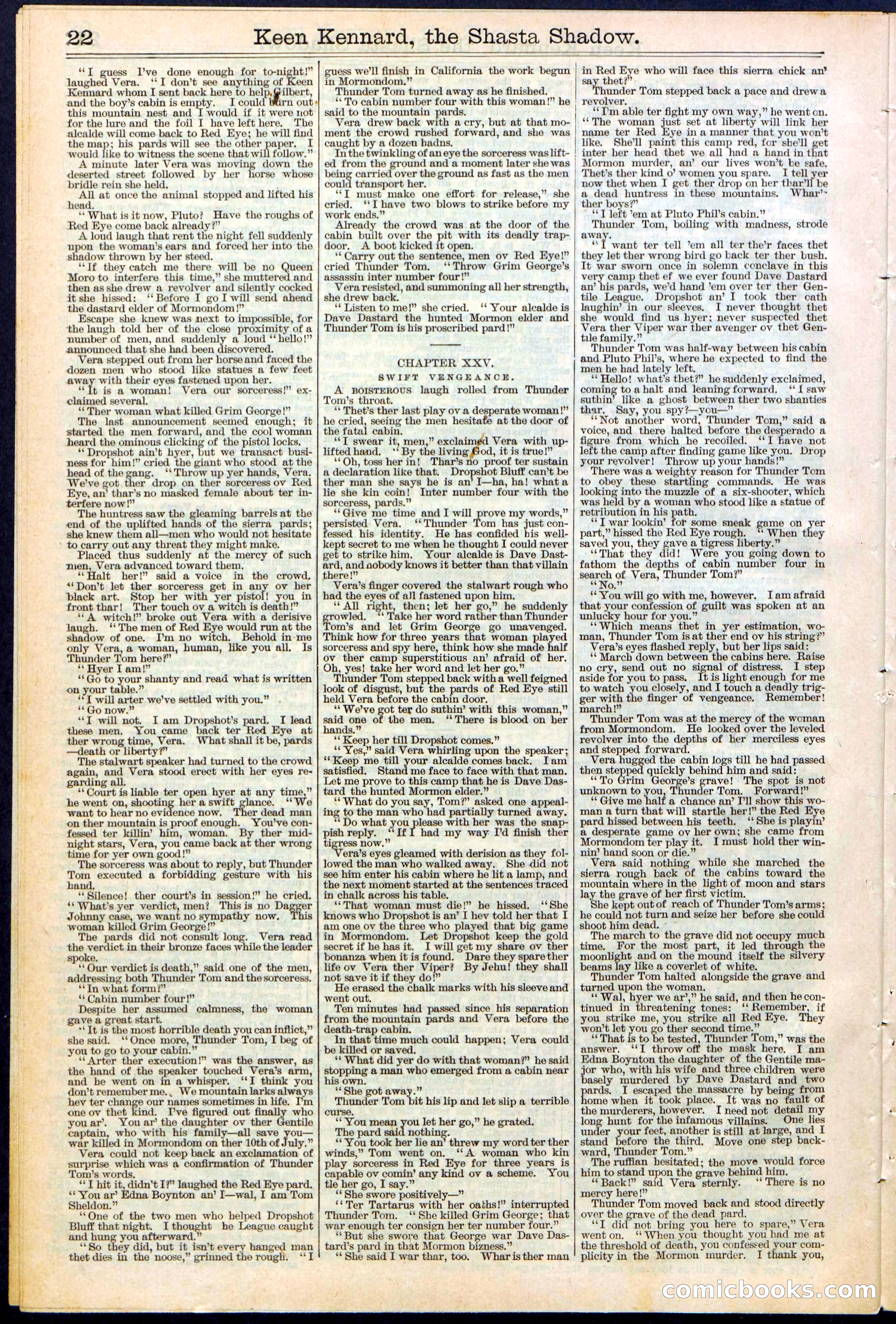 Beadle's New York Dime Library No. 365 — page 22 of 32