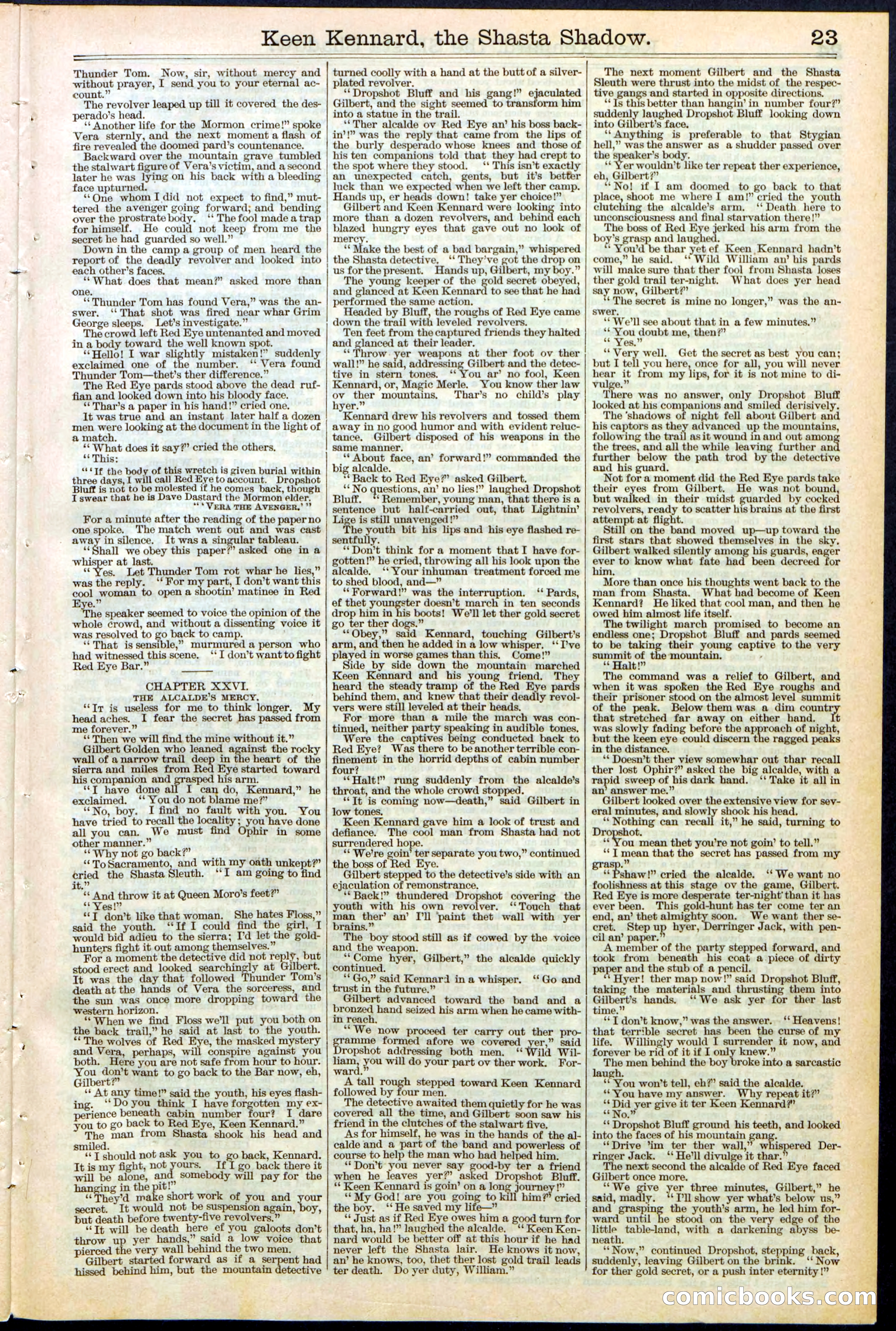 Beadle's New York Dime Library No. 365 — page 23 of 32