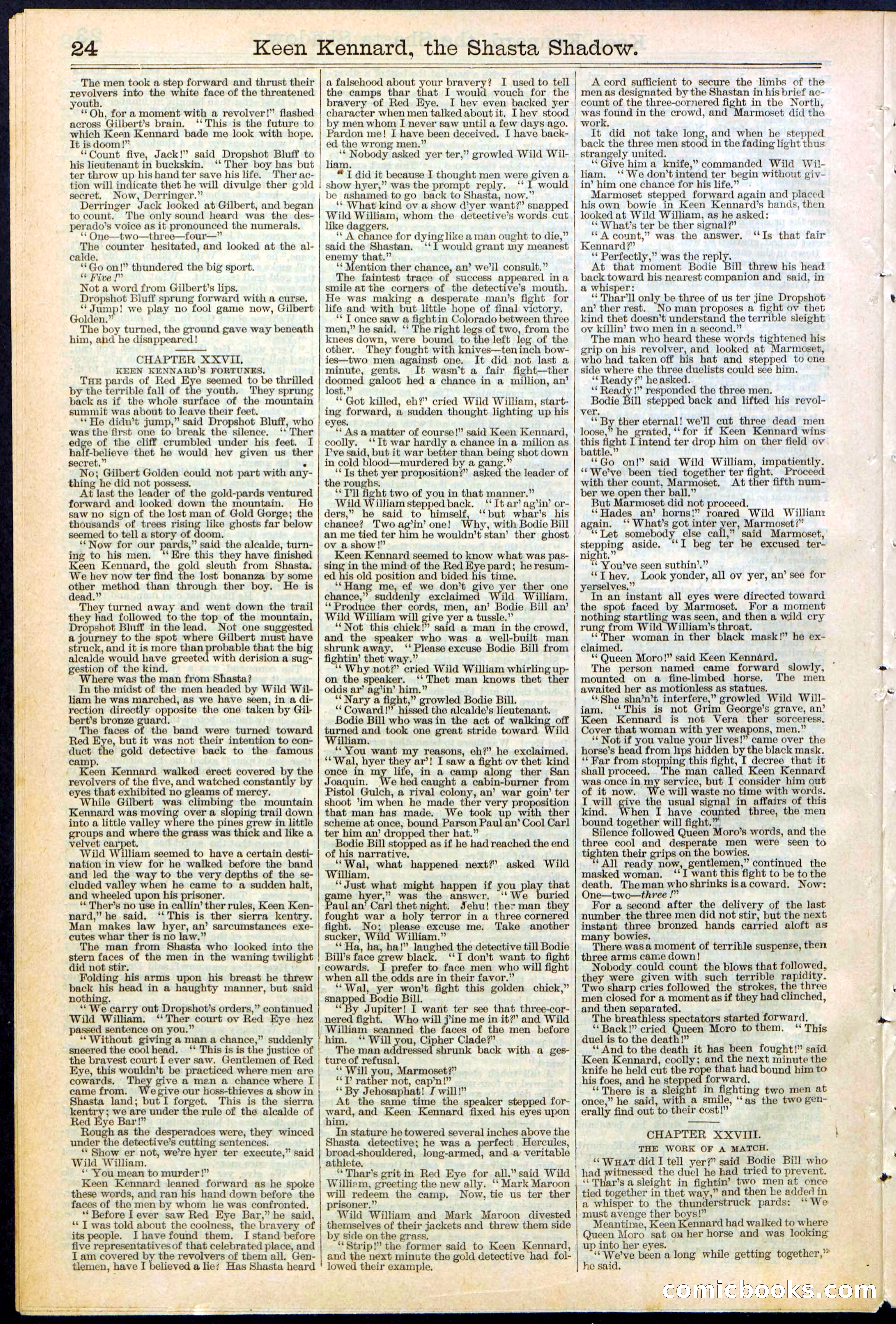 Beadle's New York Dime Library No. 365 — page 24 of 32