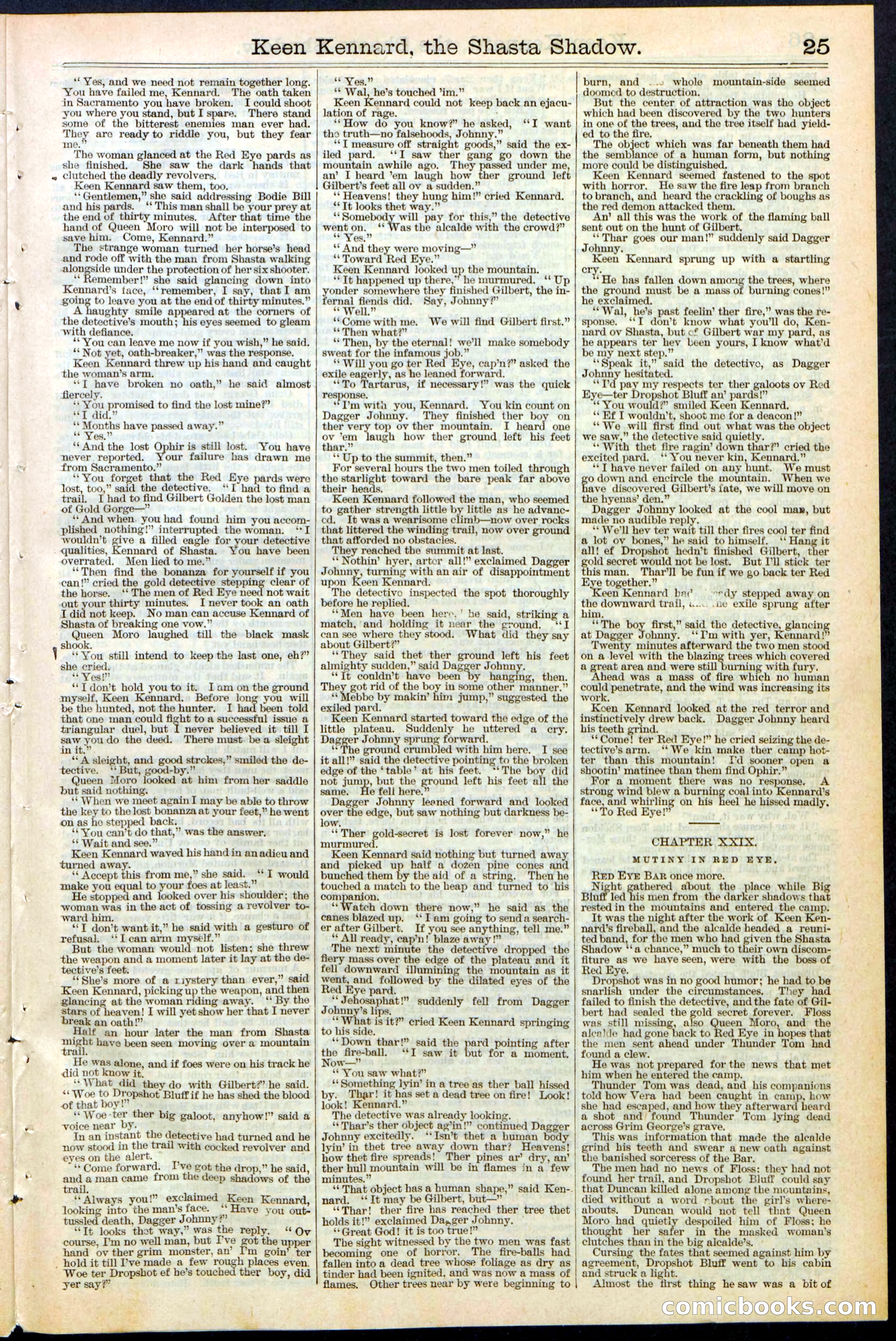 Beadle's New York Dime Library No. 365 — page 25 of 32