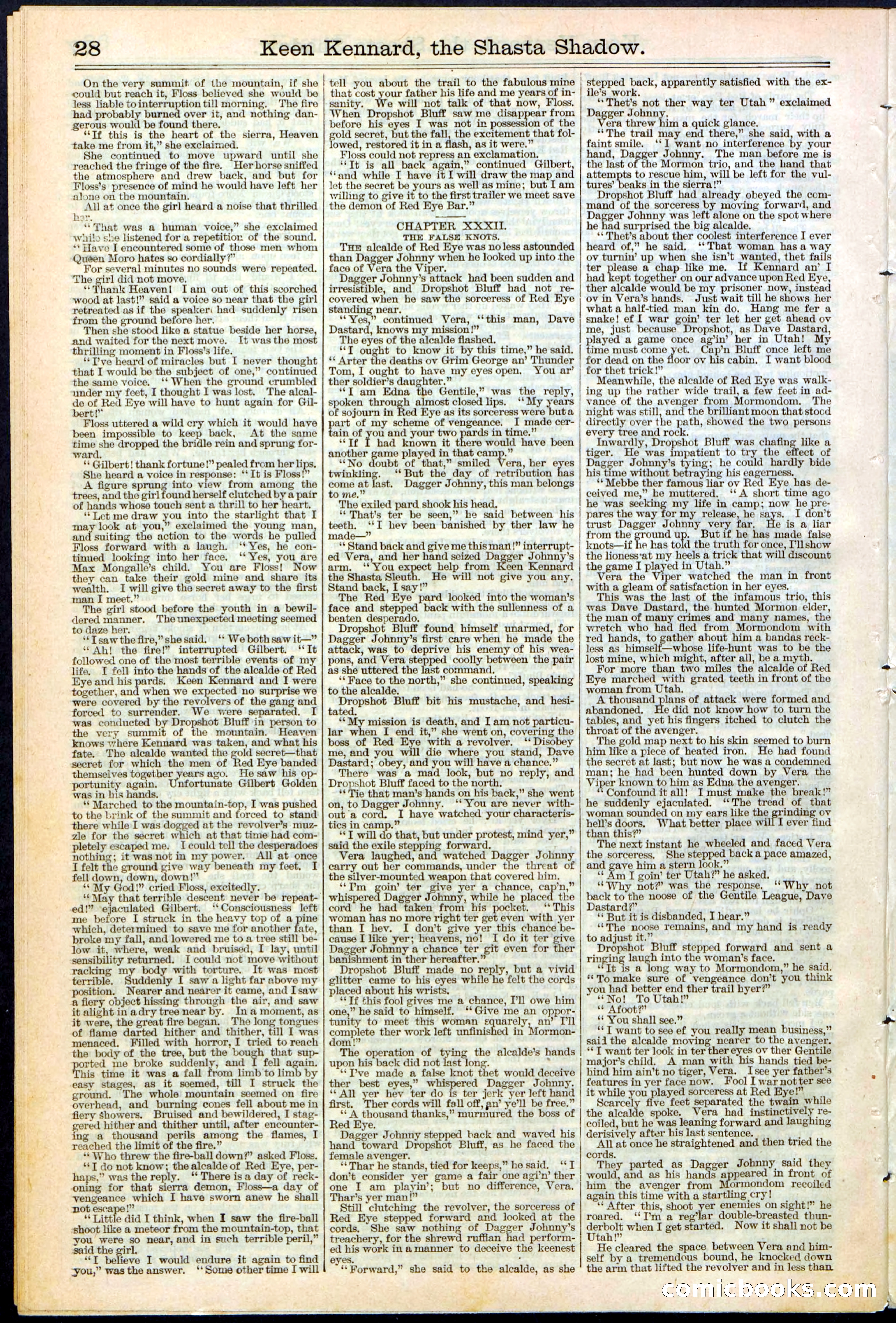 Beadle's New York Dime Library No. 365 — page 28 of 32