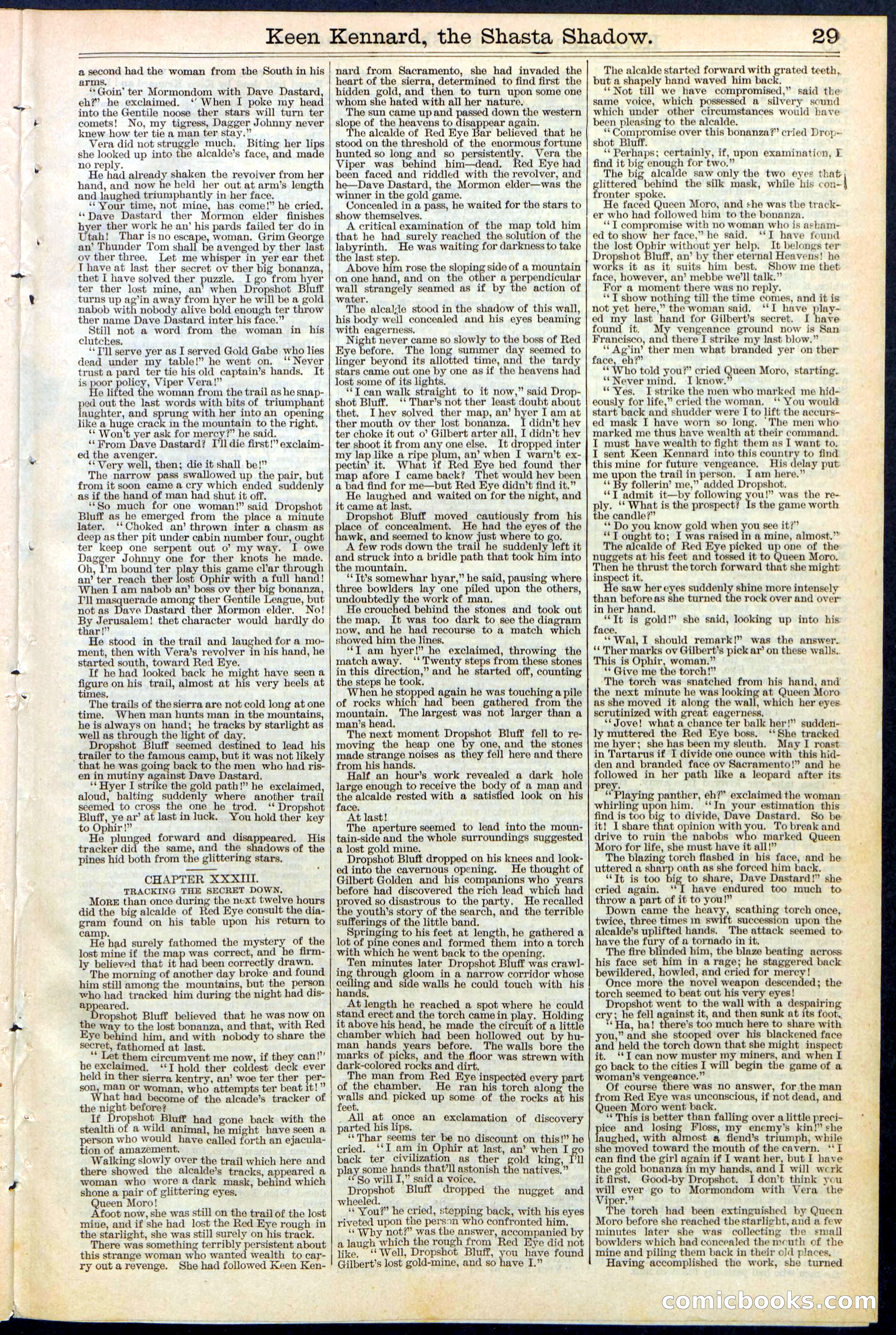 Beadle's New York Dime Library No. 365 — page 29 of 32