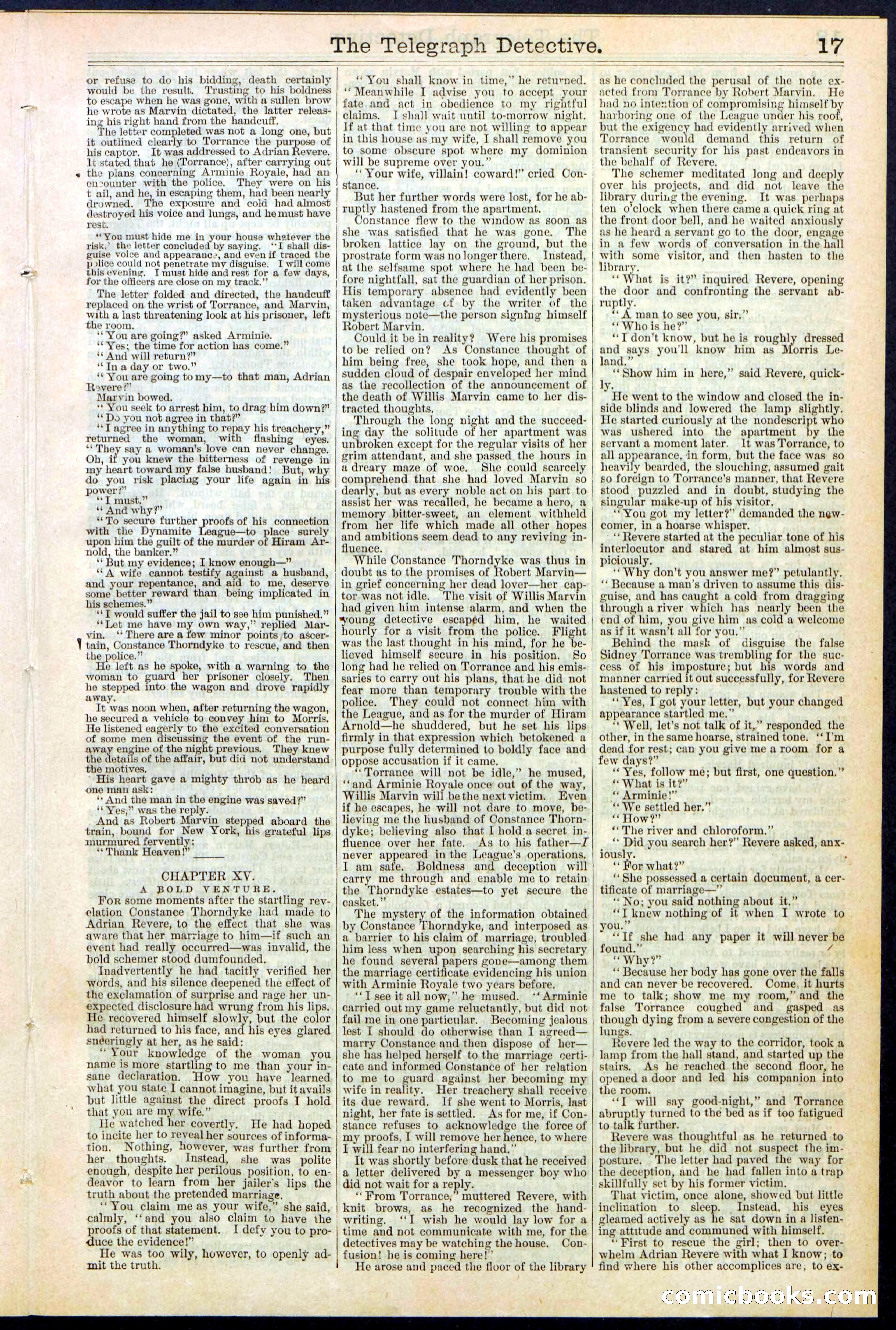Beadle's Dime Library No. 366 — page 17 of 32