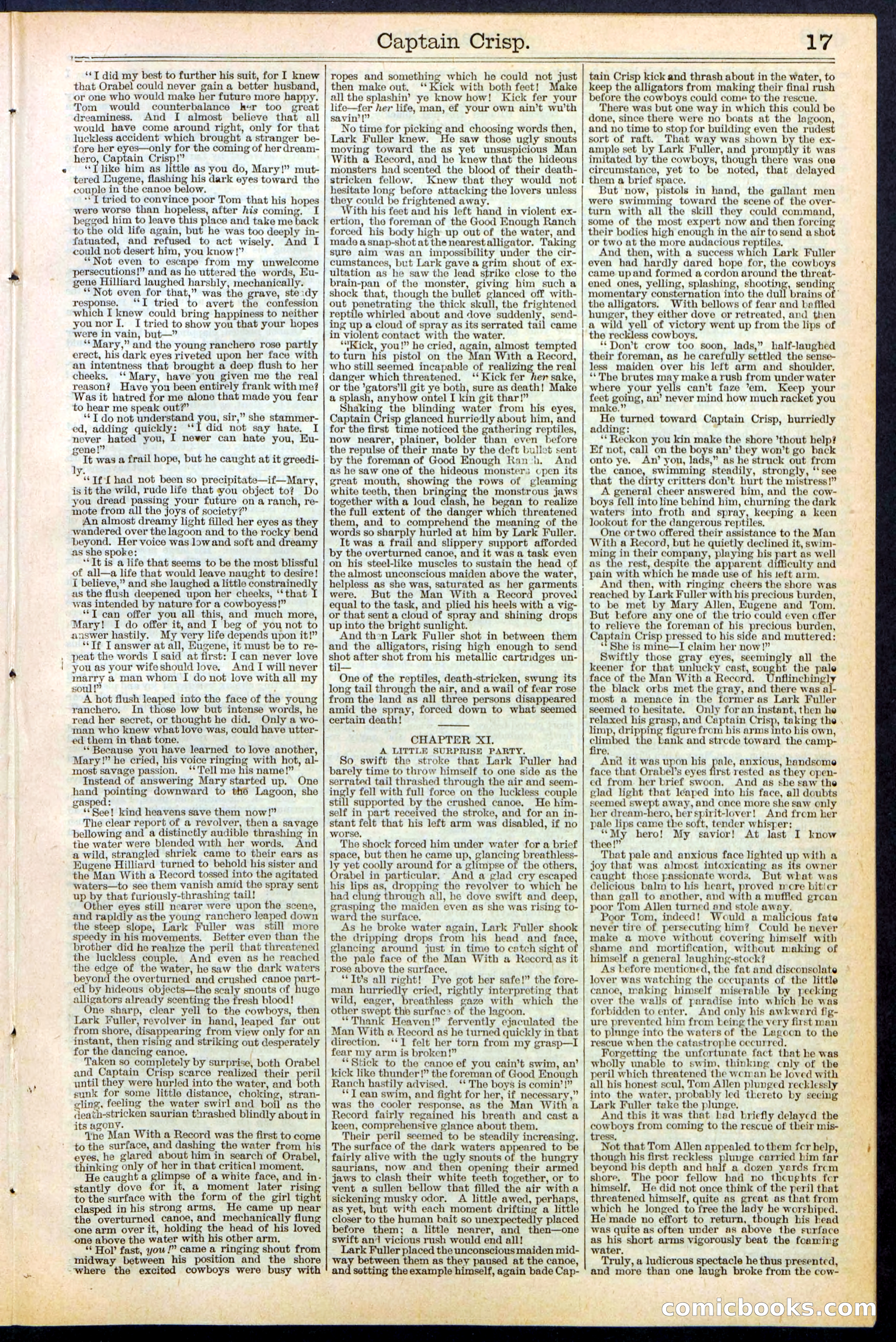 Beadle's Dime Library No. 372 — page 17 of 32