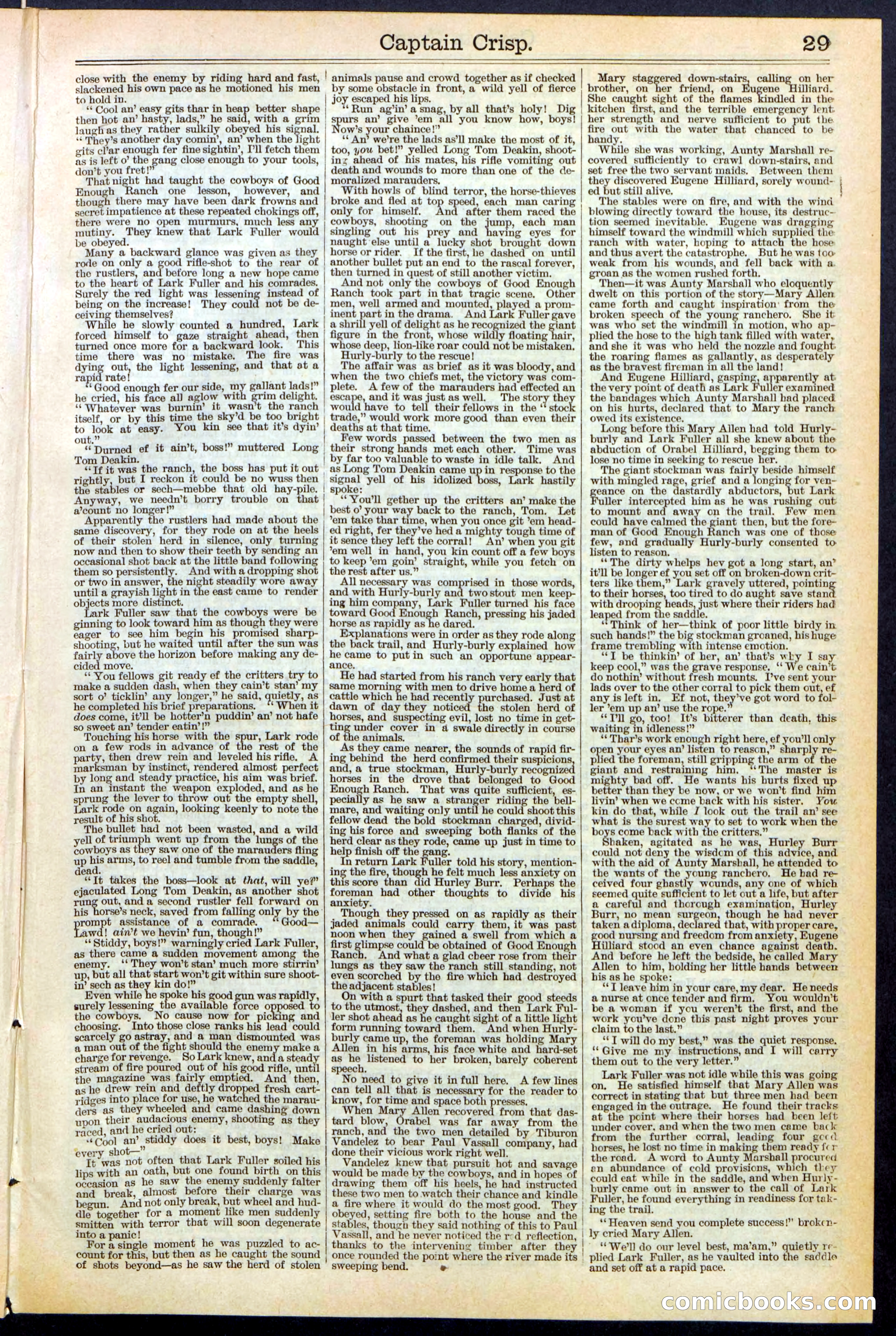 Beadle's Dime Library No. 372 — page 29 of 32
