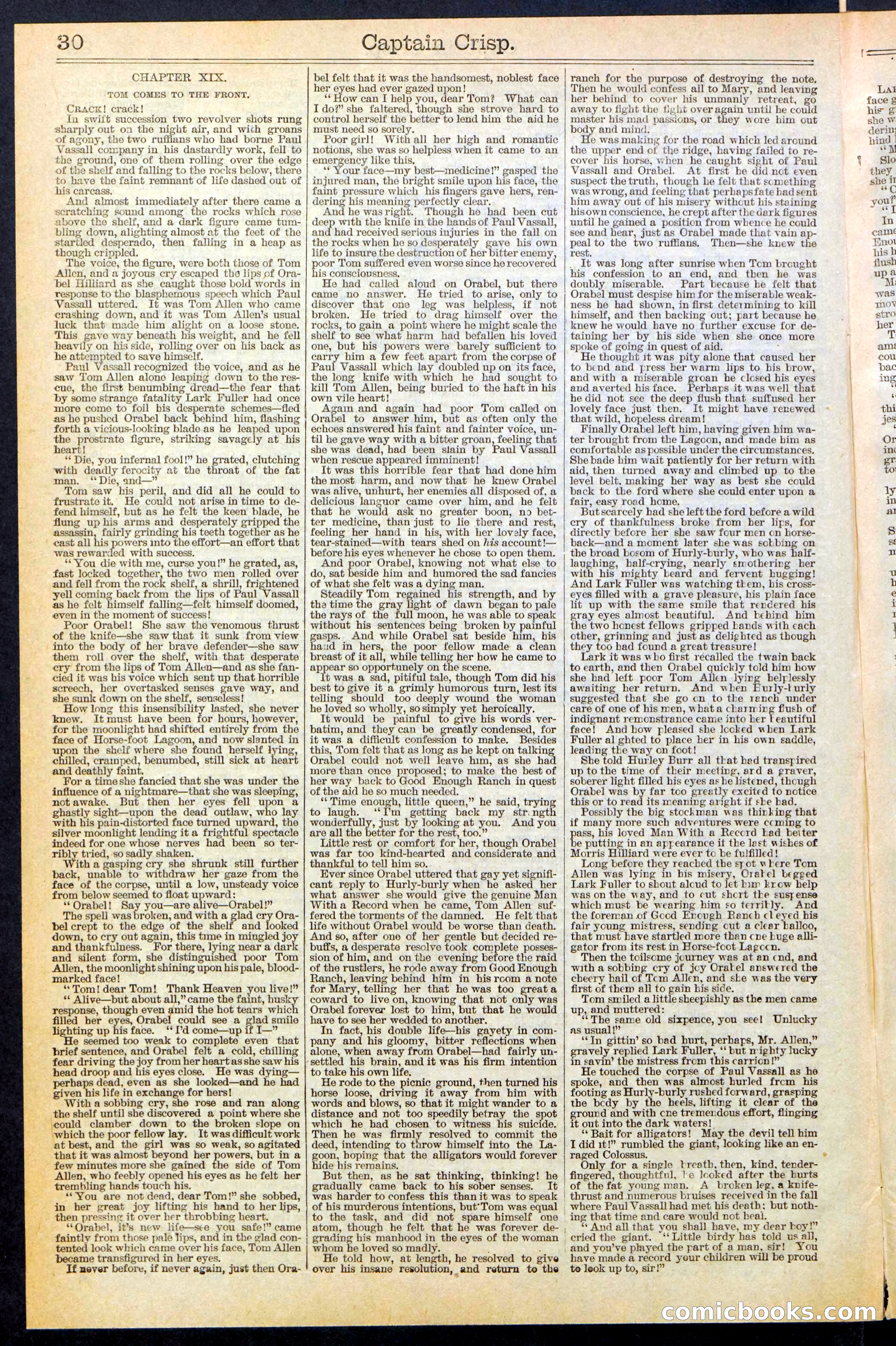 Beadle's Dime Library No. 372 — page 30 of 32