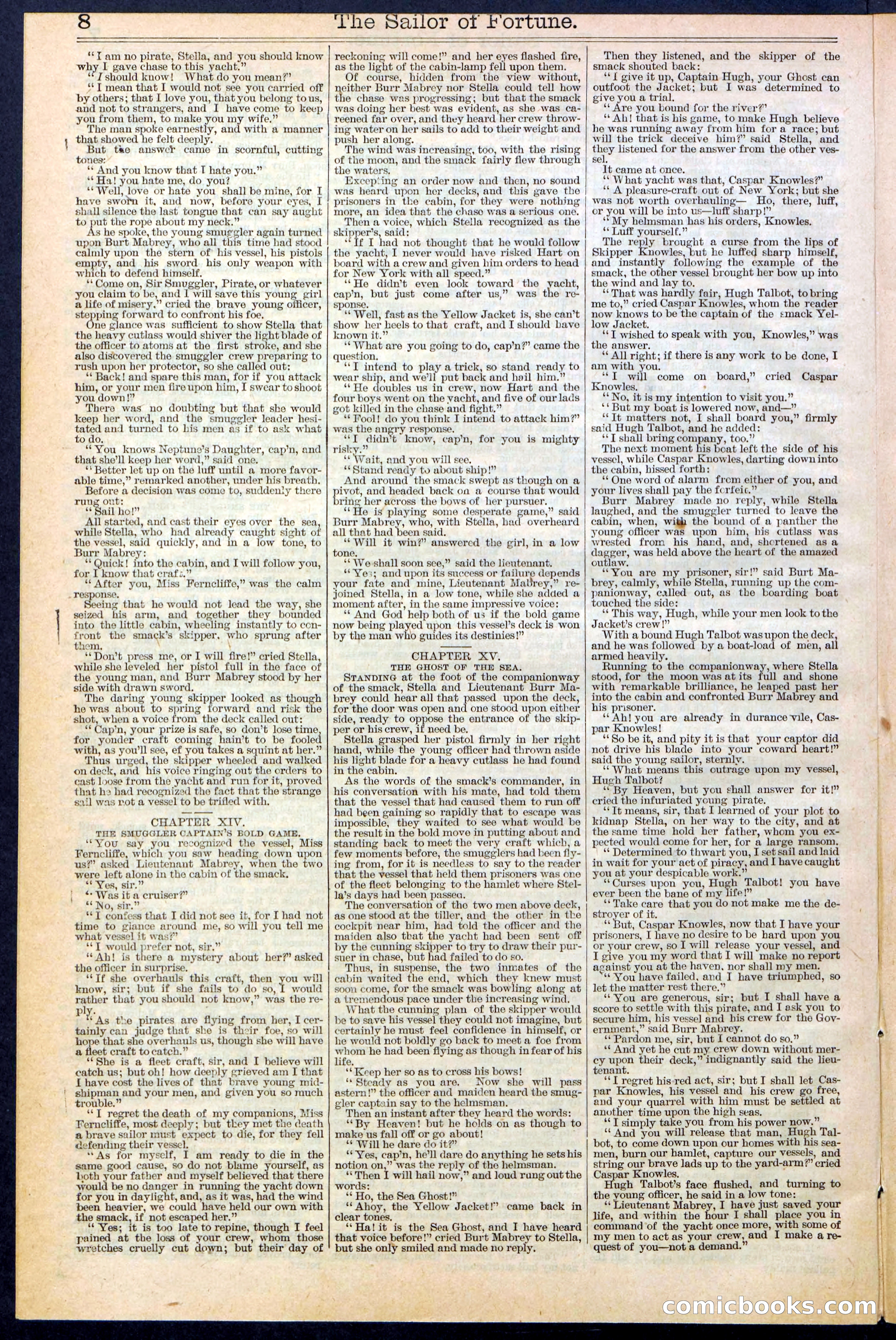 Beadle's New York Dime Library No. 373 — page 8 of 32