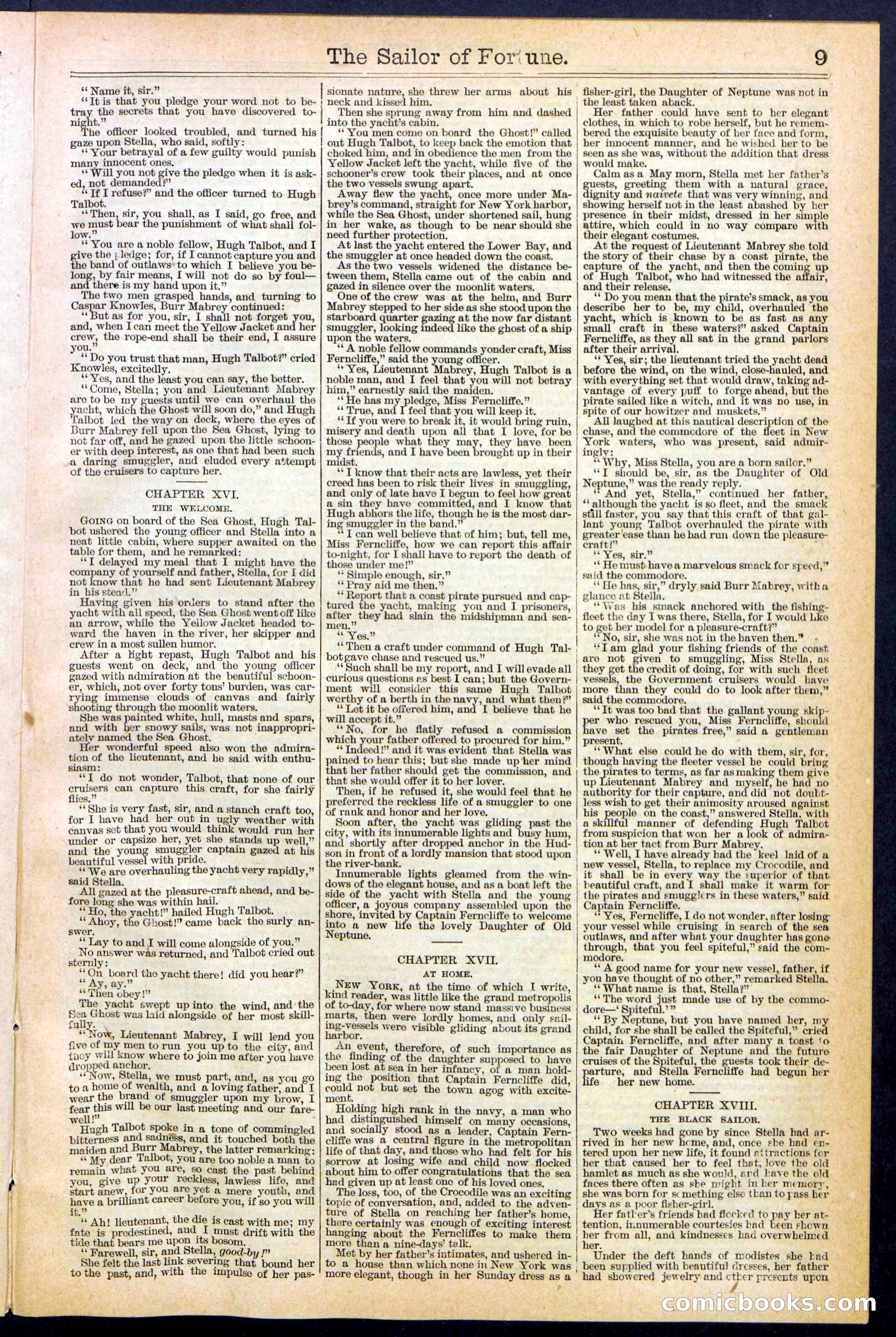 Beadle's New York Dime Library No. 373 — page 9 of 32