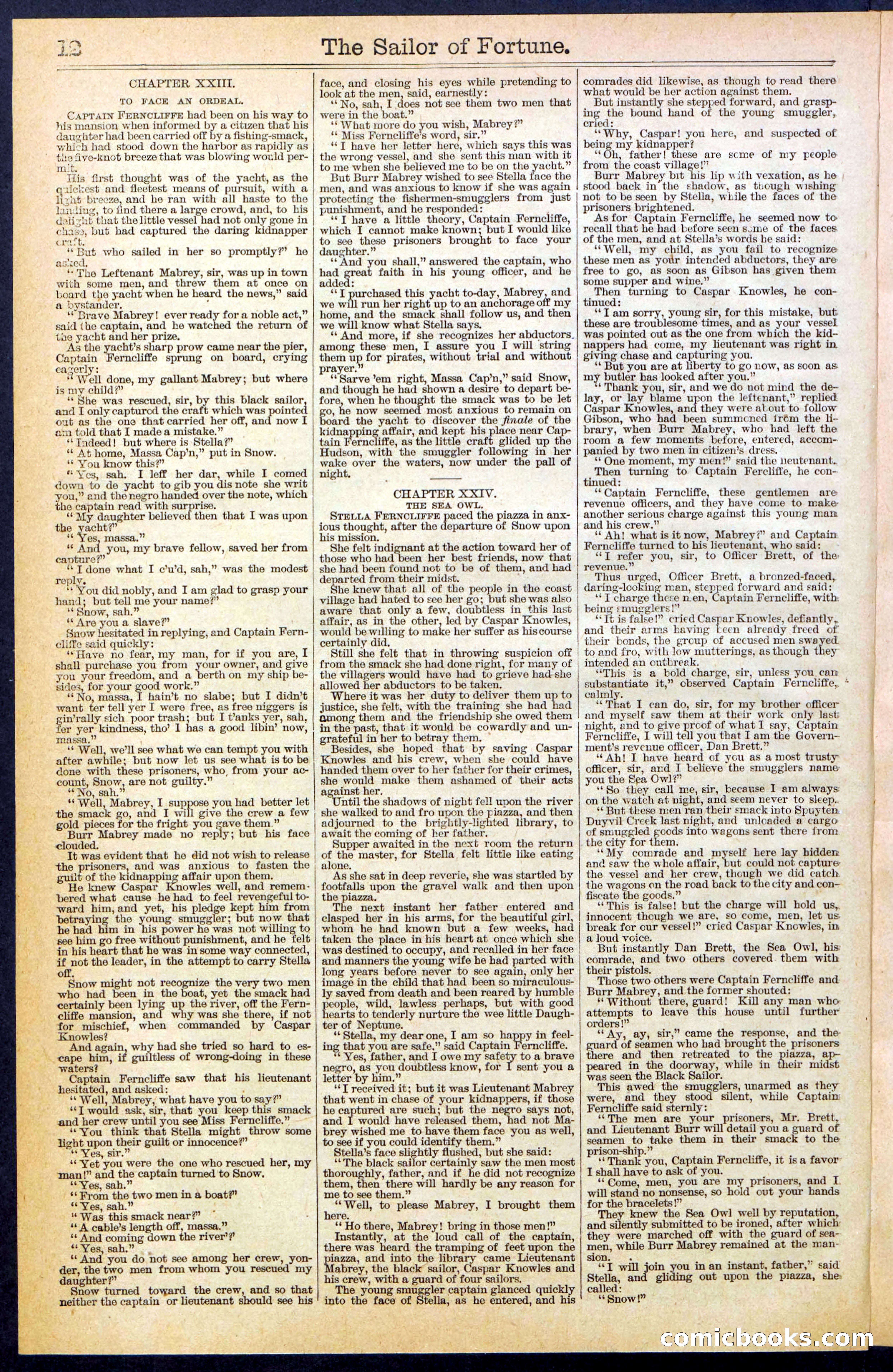 Beadle's New York Dime Library No. 373 — page 12 of 32
