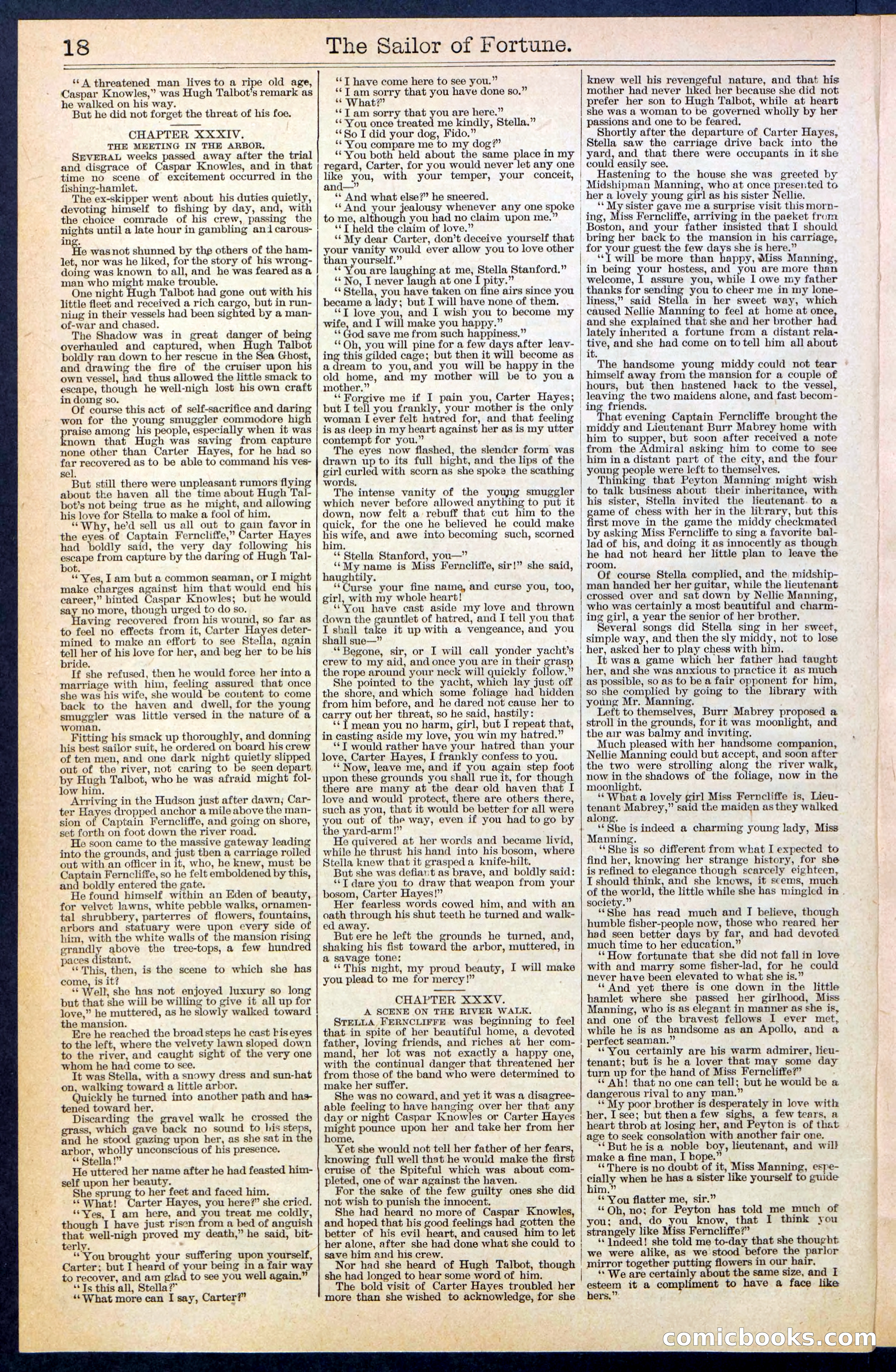 Beadle's New York Dime Library No. 373 — page 18 of 32
