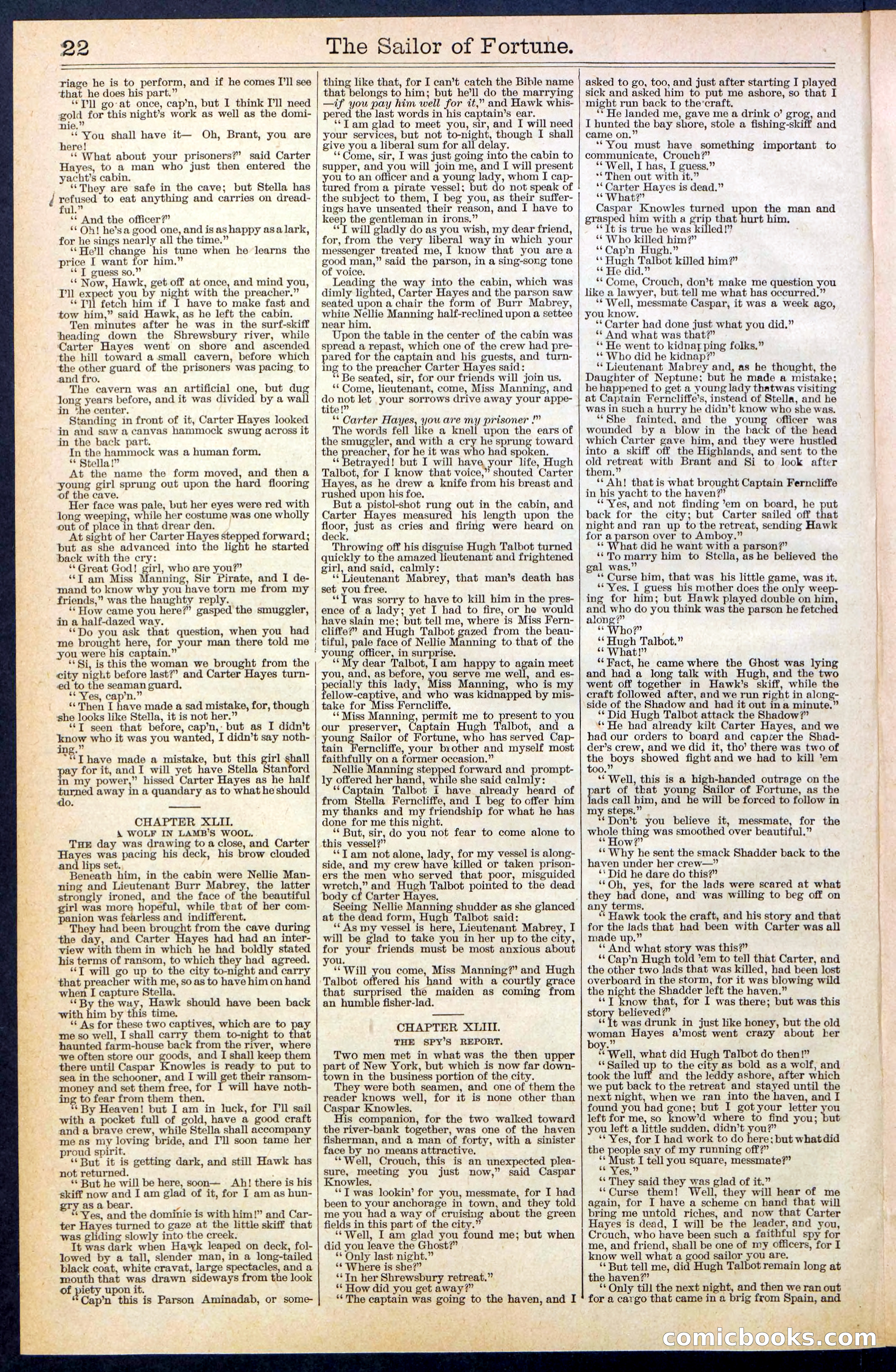 Beadle's New York Dime Library No. 373 — page 22 of 32