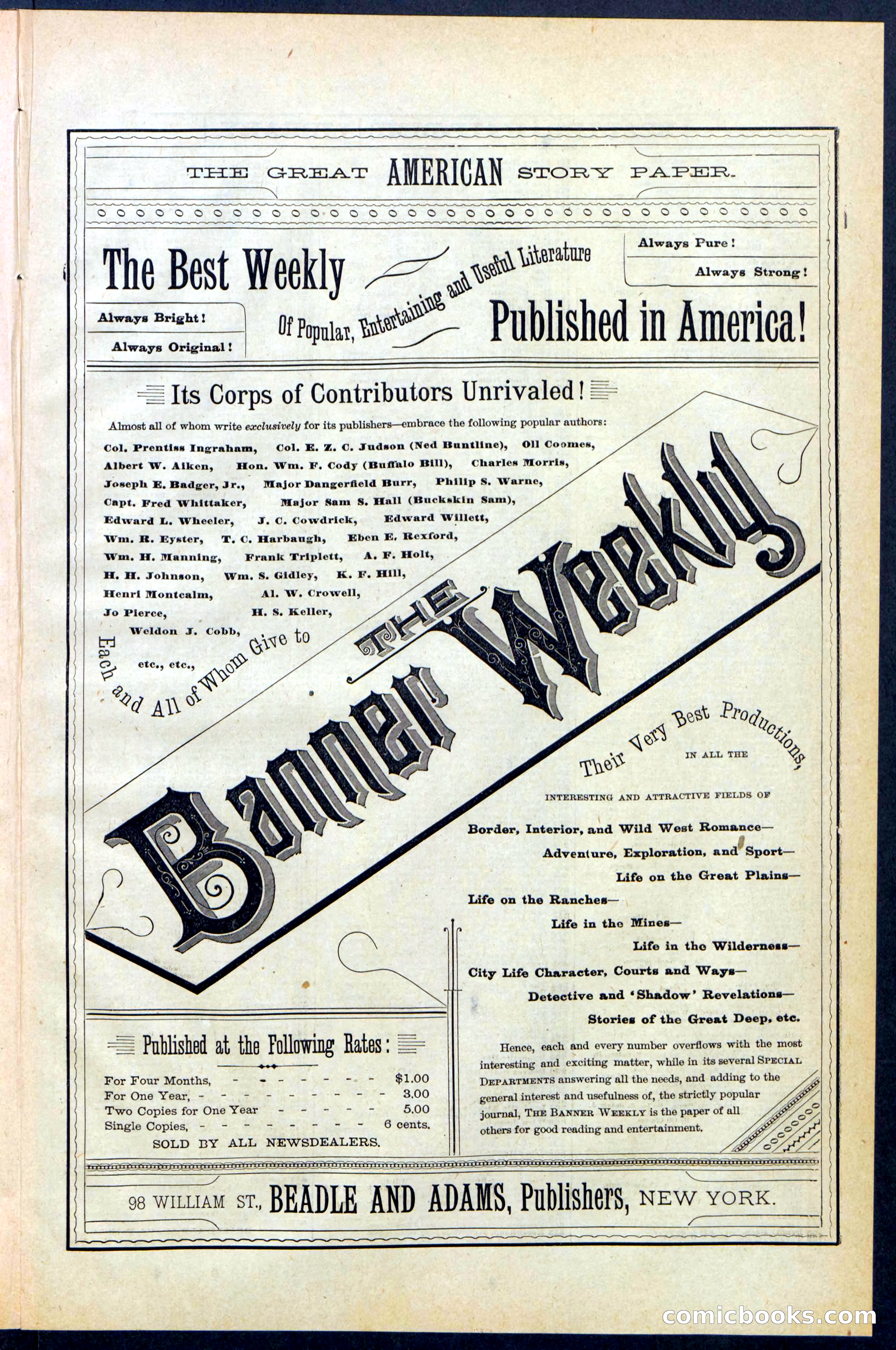 Beadle's New York Dime Library No. 373 — page 29 of 32