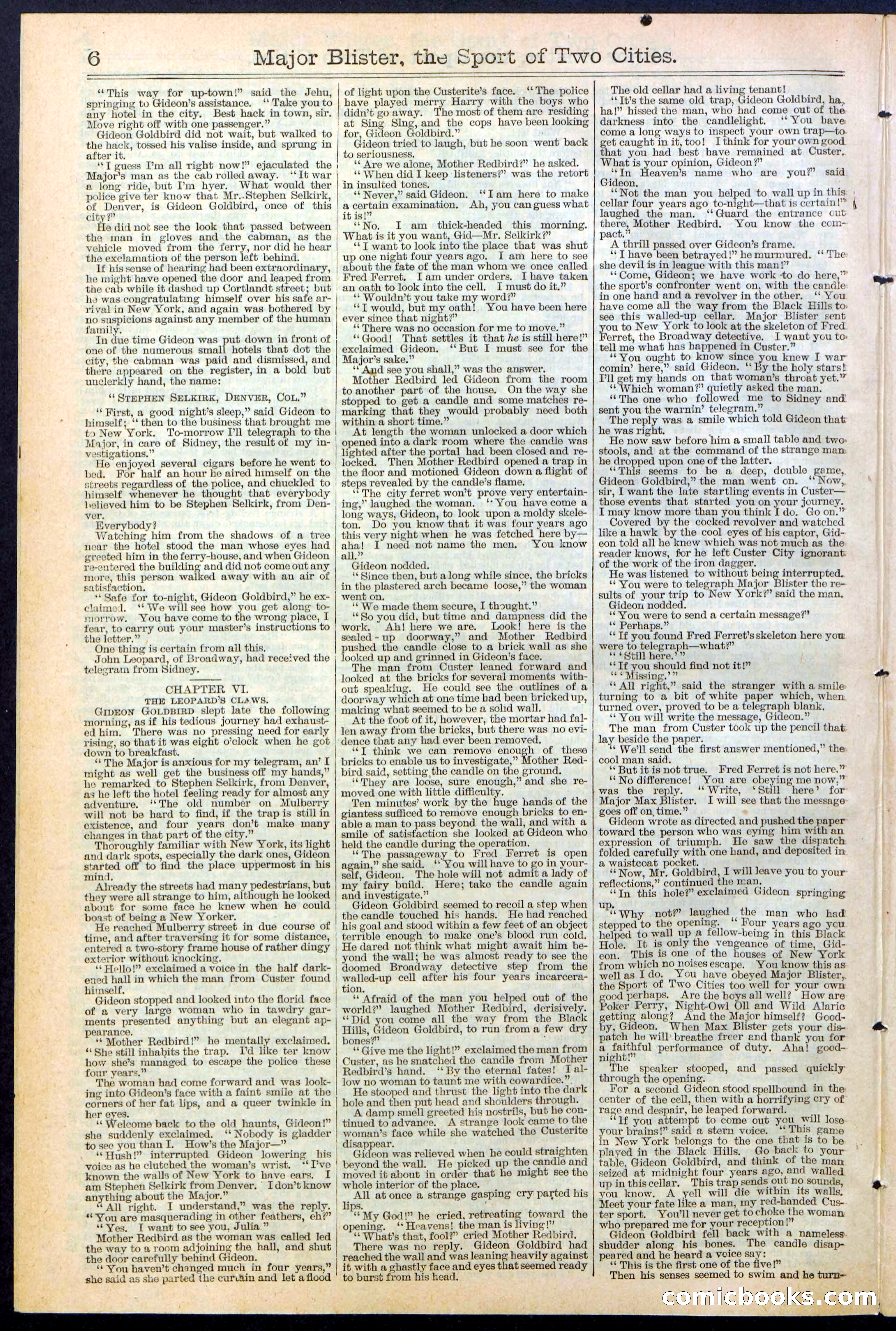 Beadle's New York Dime Library, No. 374 — page 6 of 32