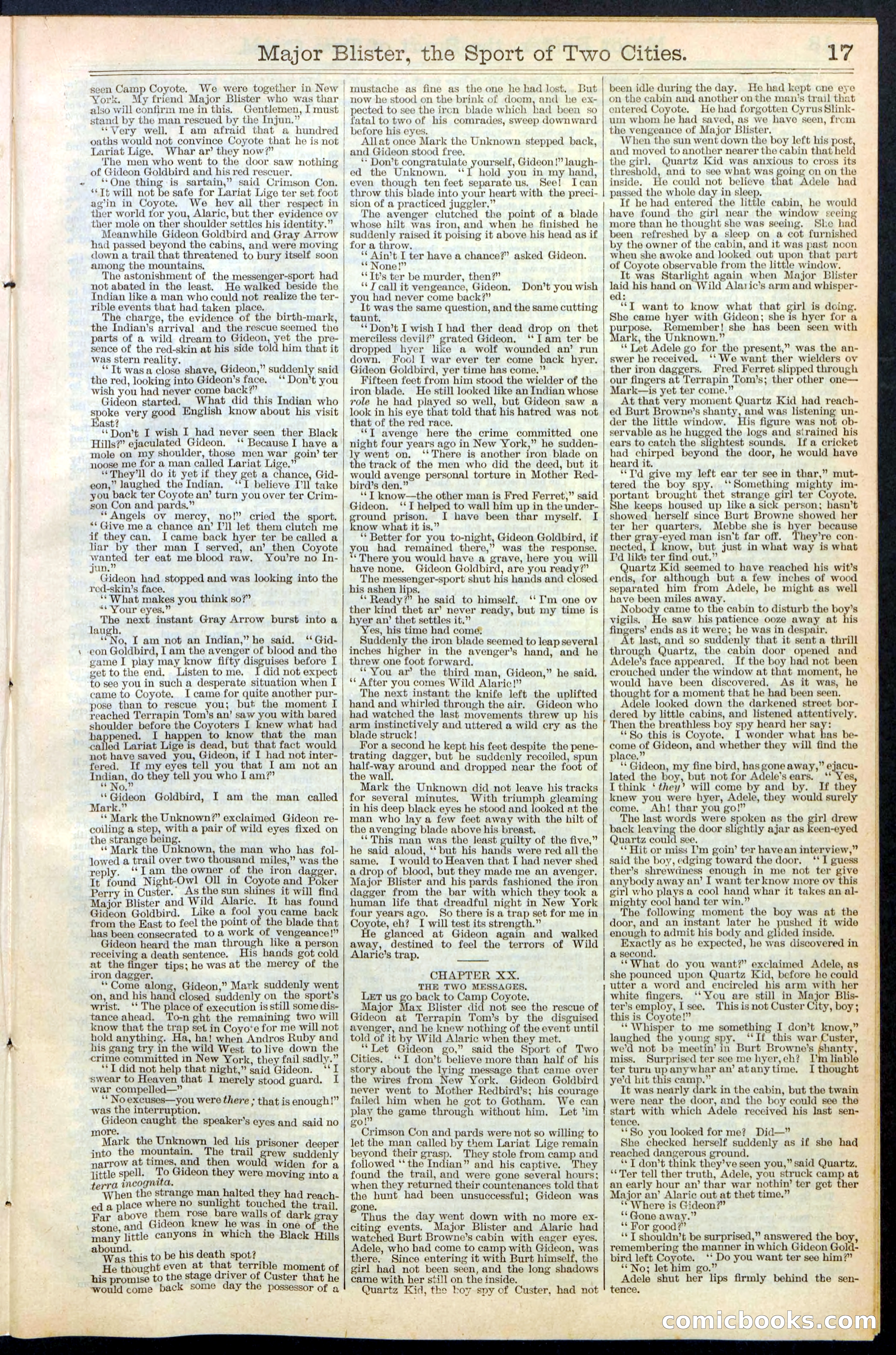 Beadle's New York Dime Library, No. 374 — page 17 of 32
