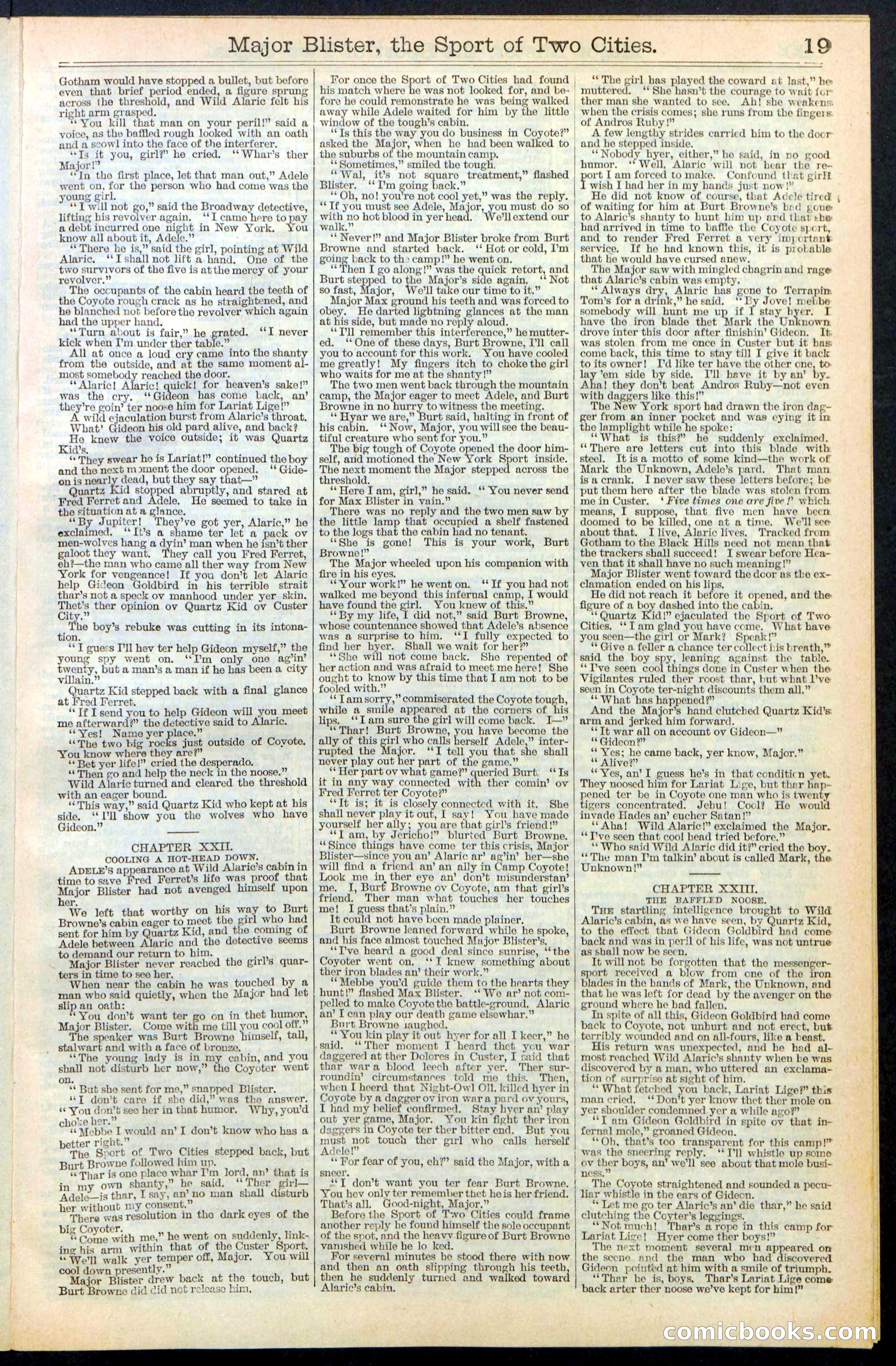 Beadle's New York Dime Library, No. 374 — page 19 of 32