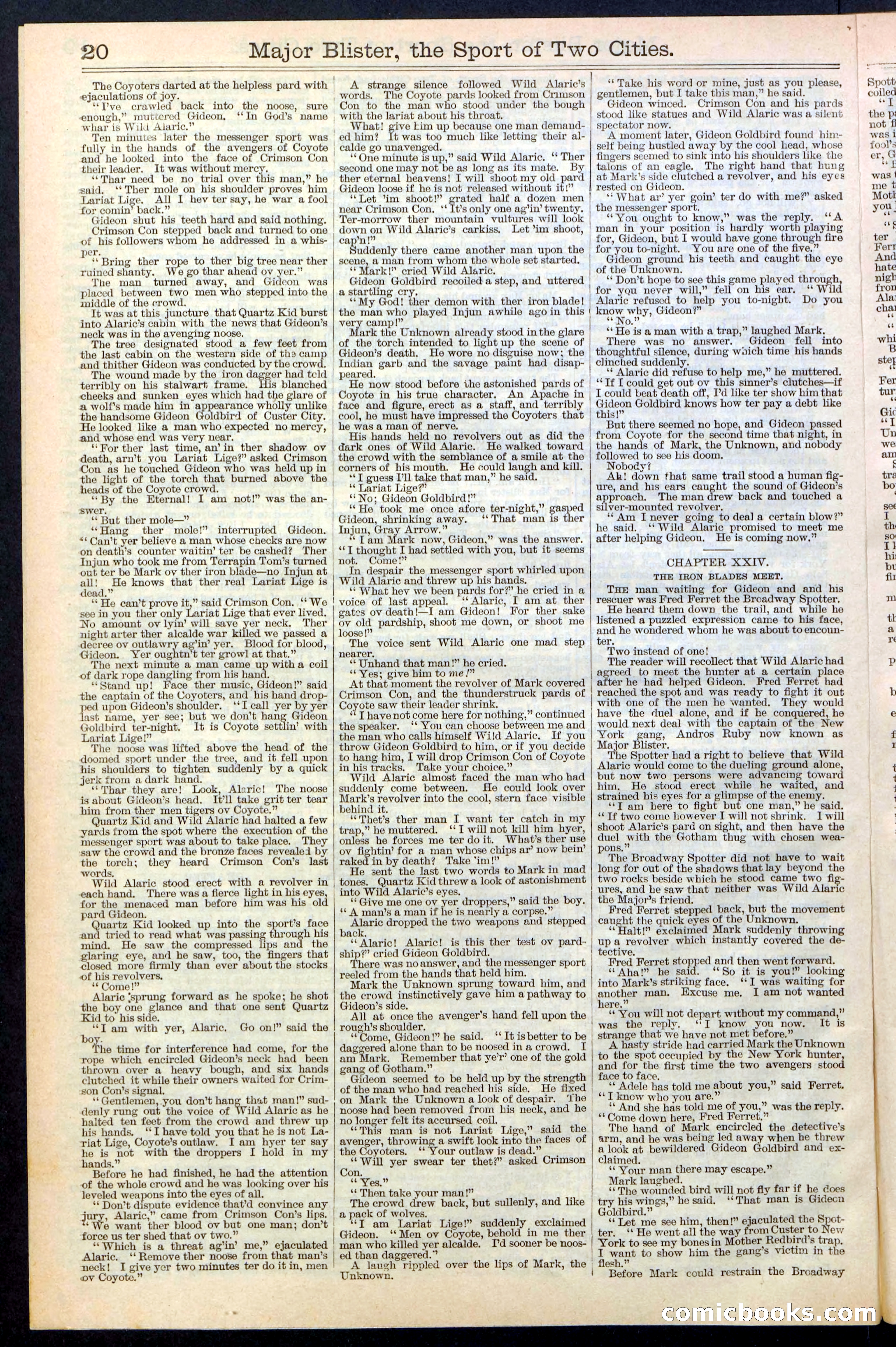 Beadle's New York Dime Library, No. 374 — page 20 of 32