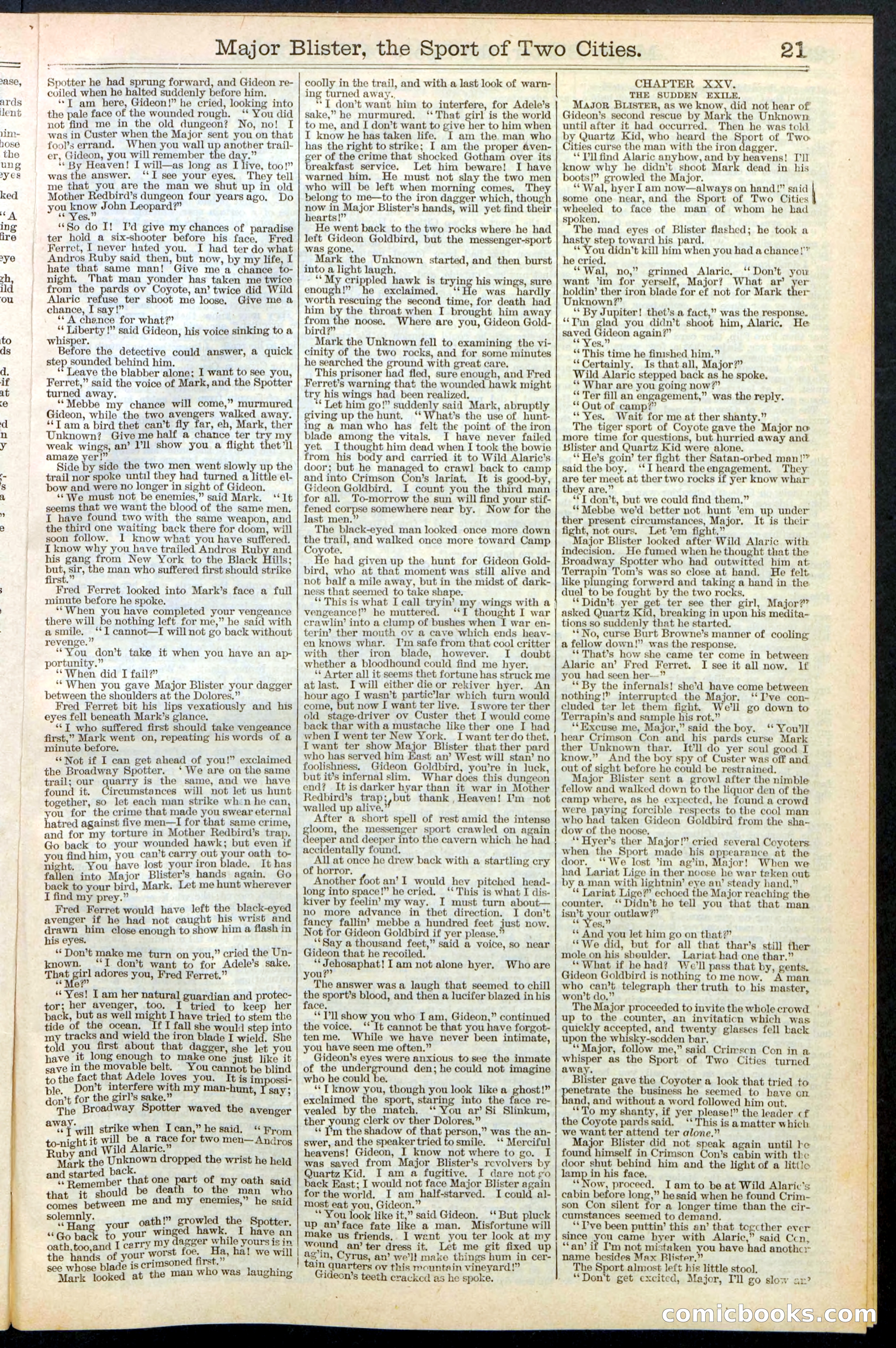 Beadle's New York Dime Library, No. 374 — page 21 of 32