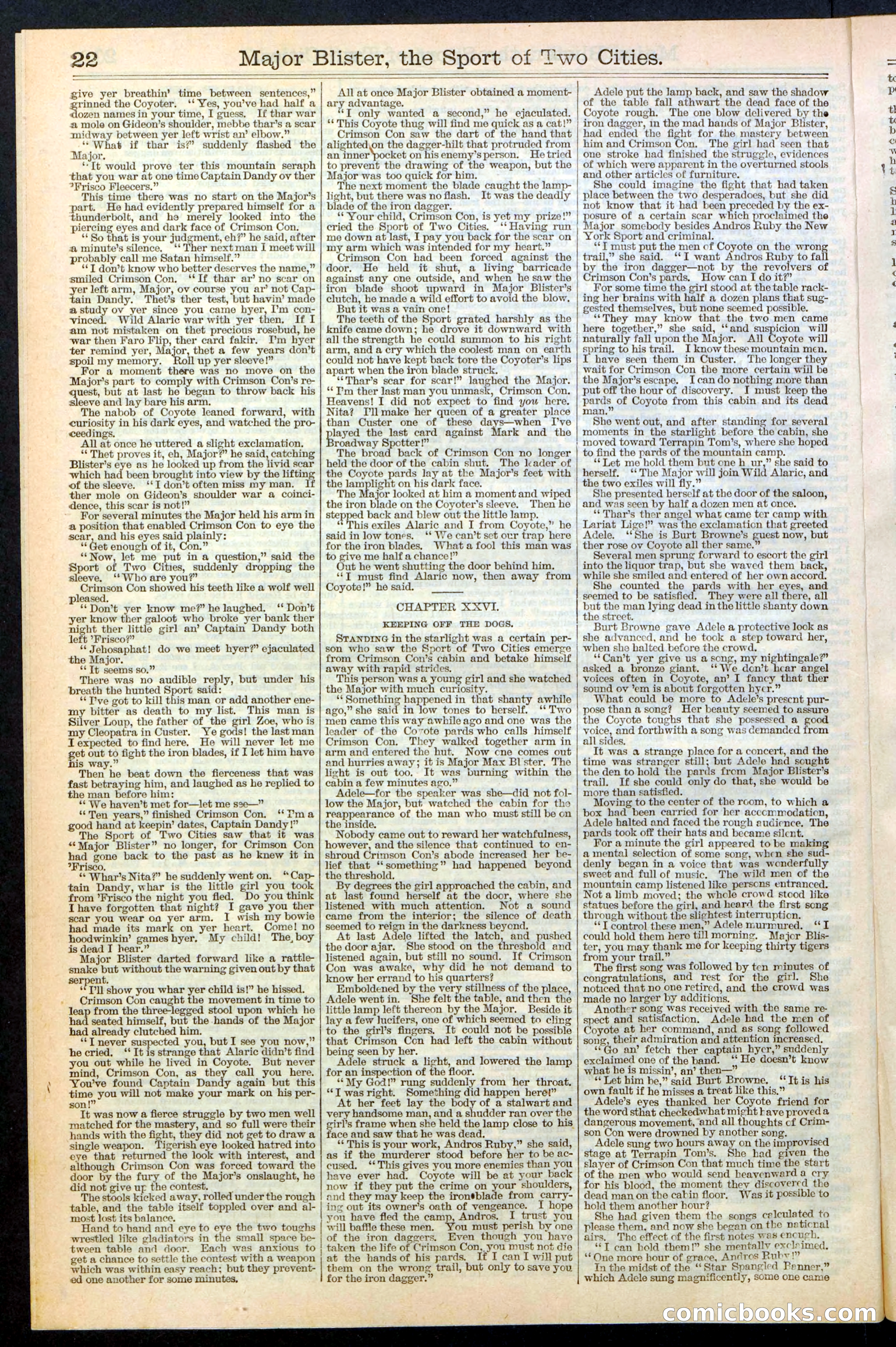 Beadle's New York Dime Library, No. 374 — page 22 of 32