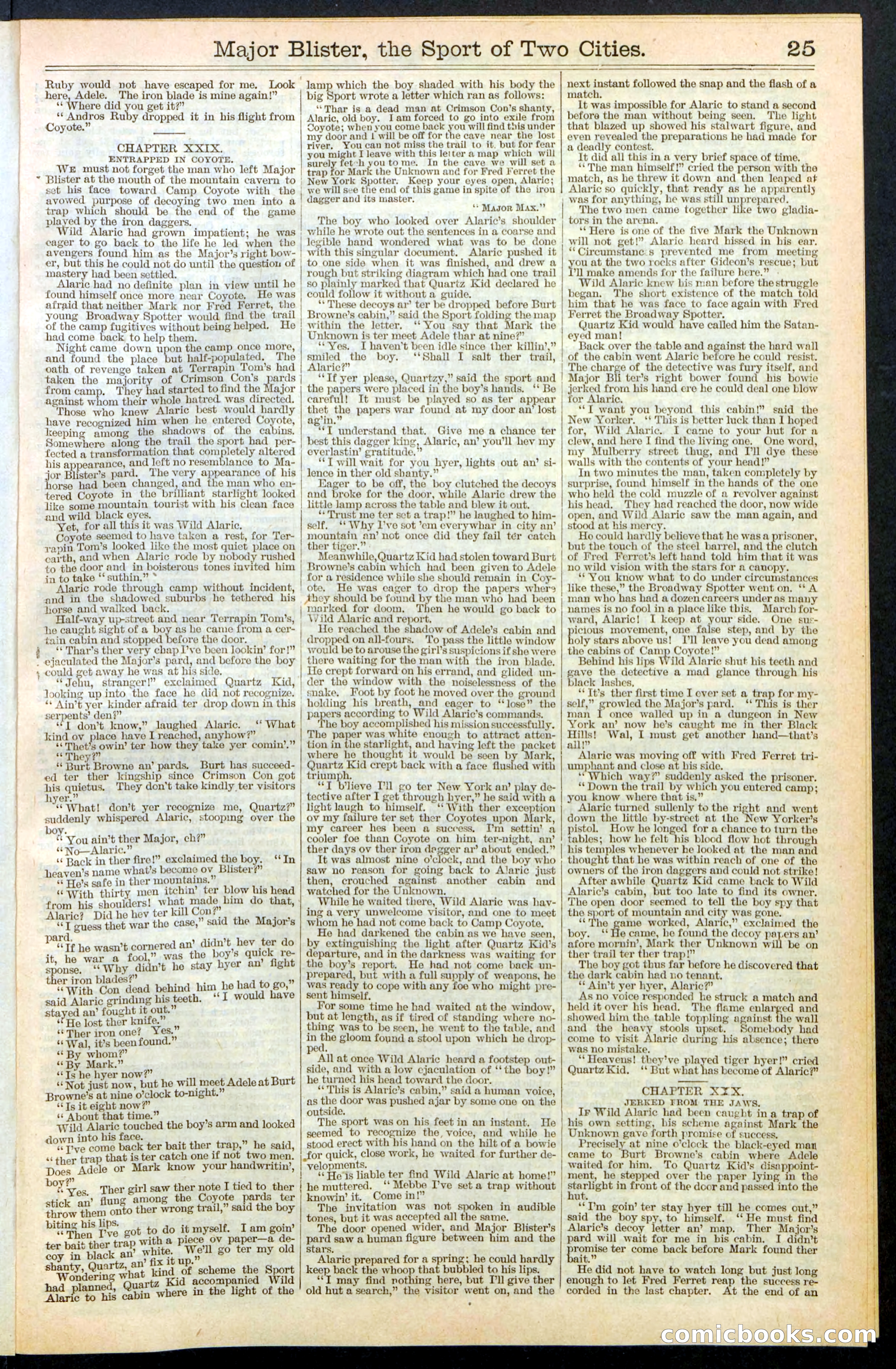 Beadle's New York Dime Library, No. 374 — page 25 of 32
