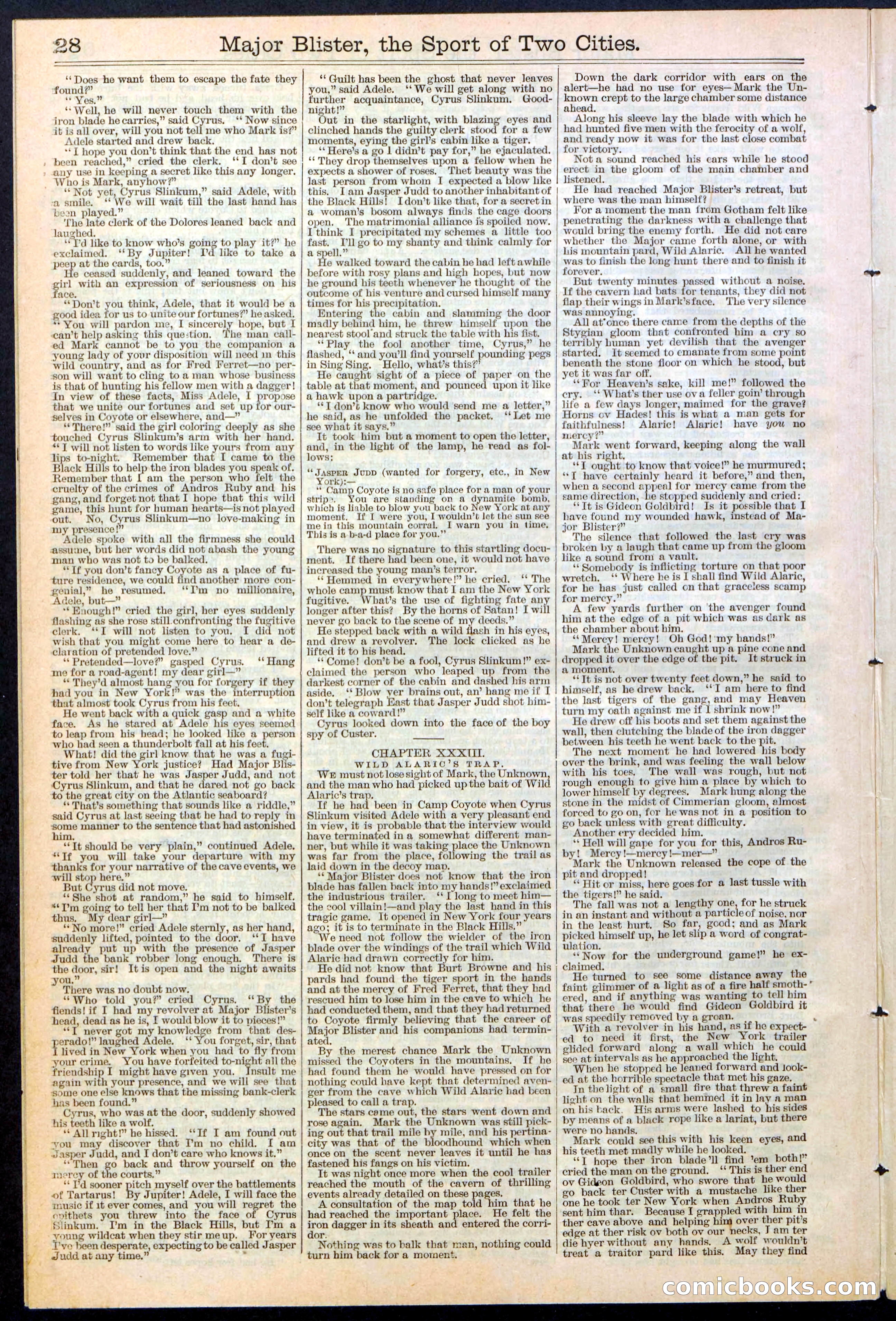 Beadle's New York Dime Library, No. 374 — page 28 of 32
