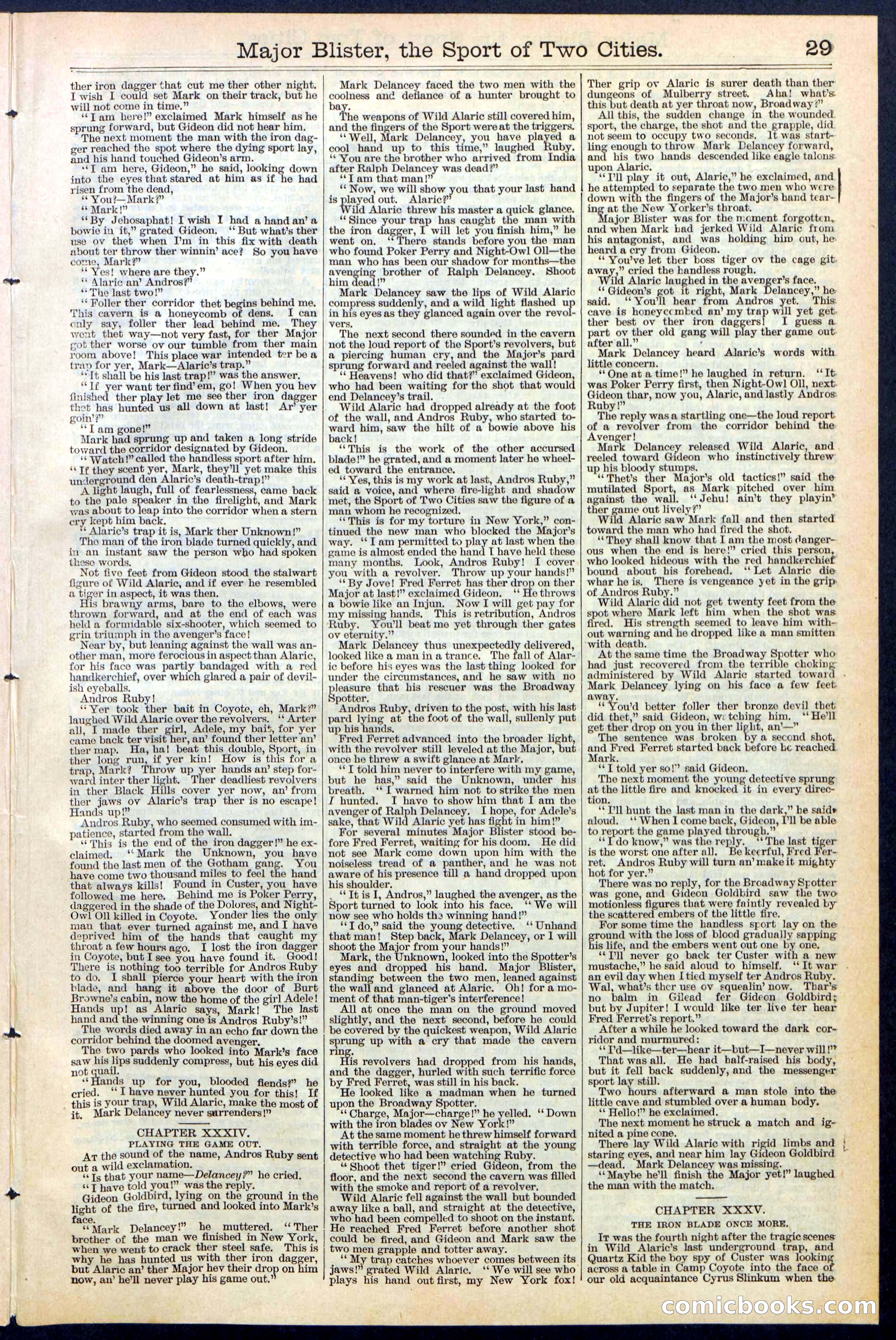 Beadle's New York Dime Library, No. 374 — page 29 of 32