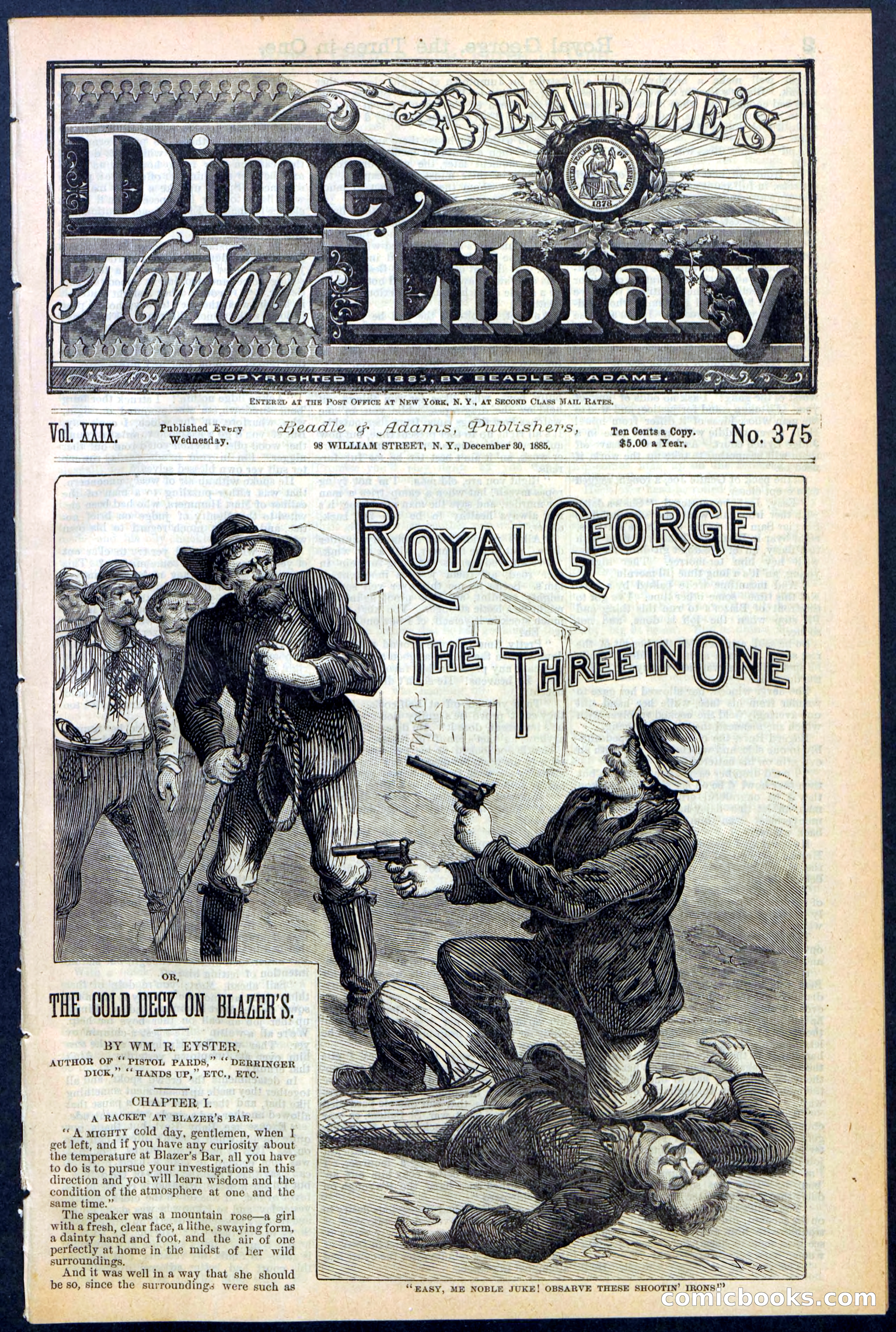 Beadle's New York Dime Library, No. 375 — page 1 of 32