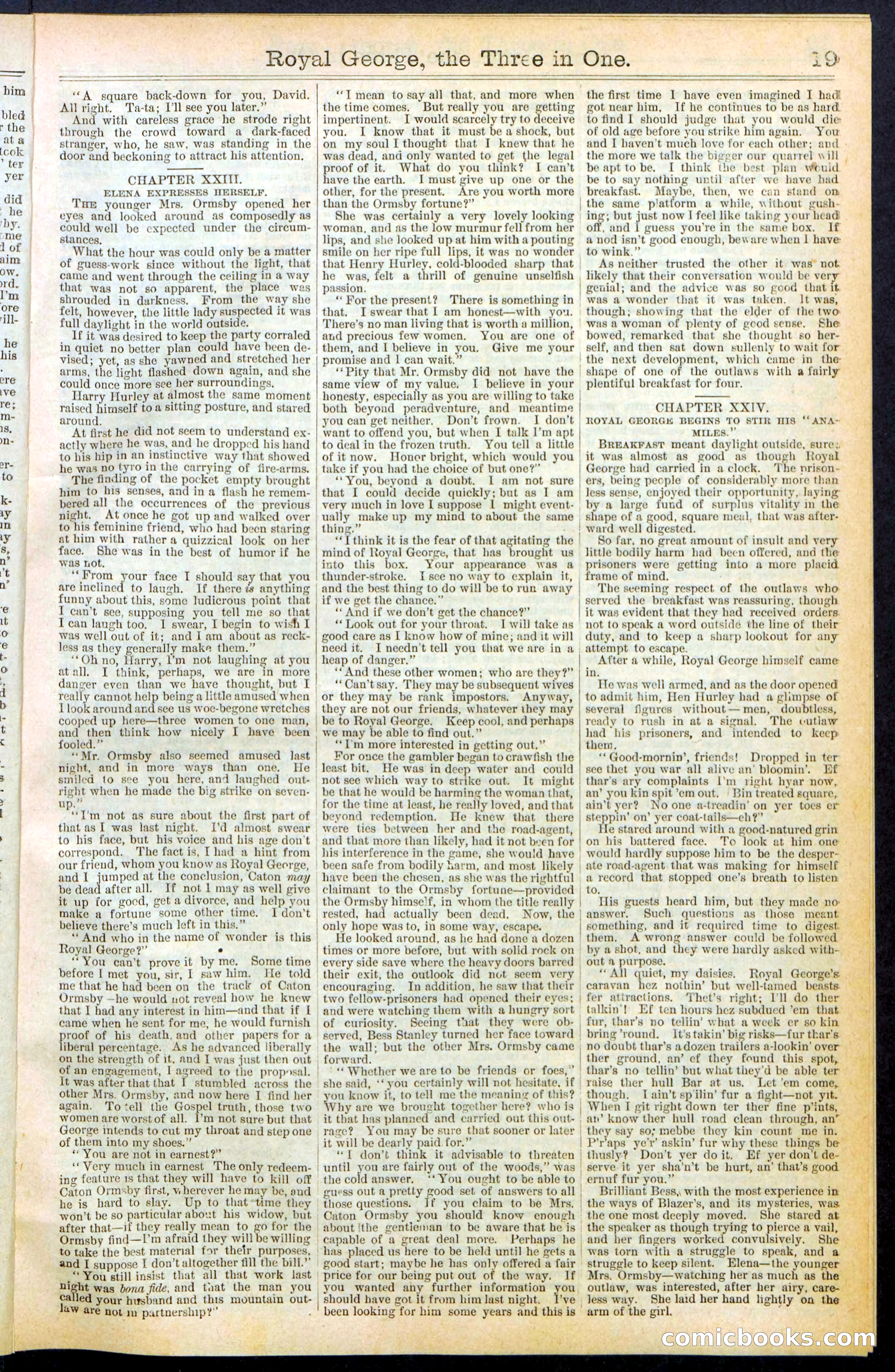 Beadle's New York Dime Library, No. 375 — page 19 of 32