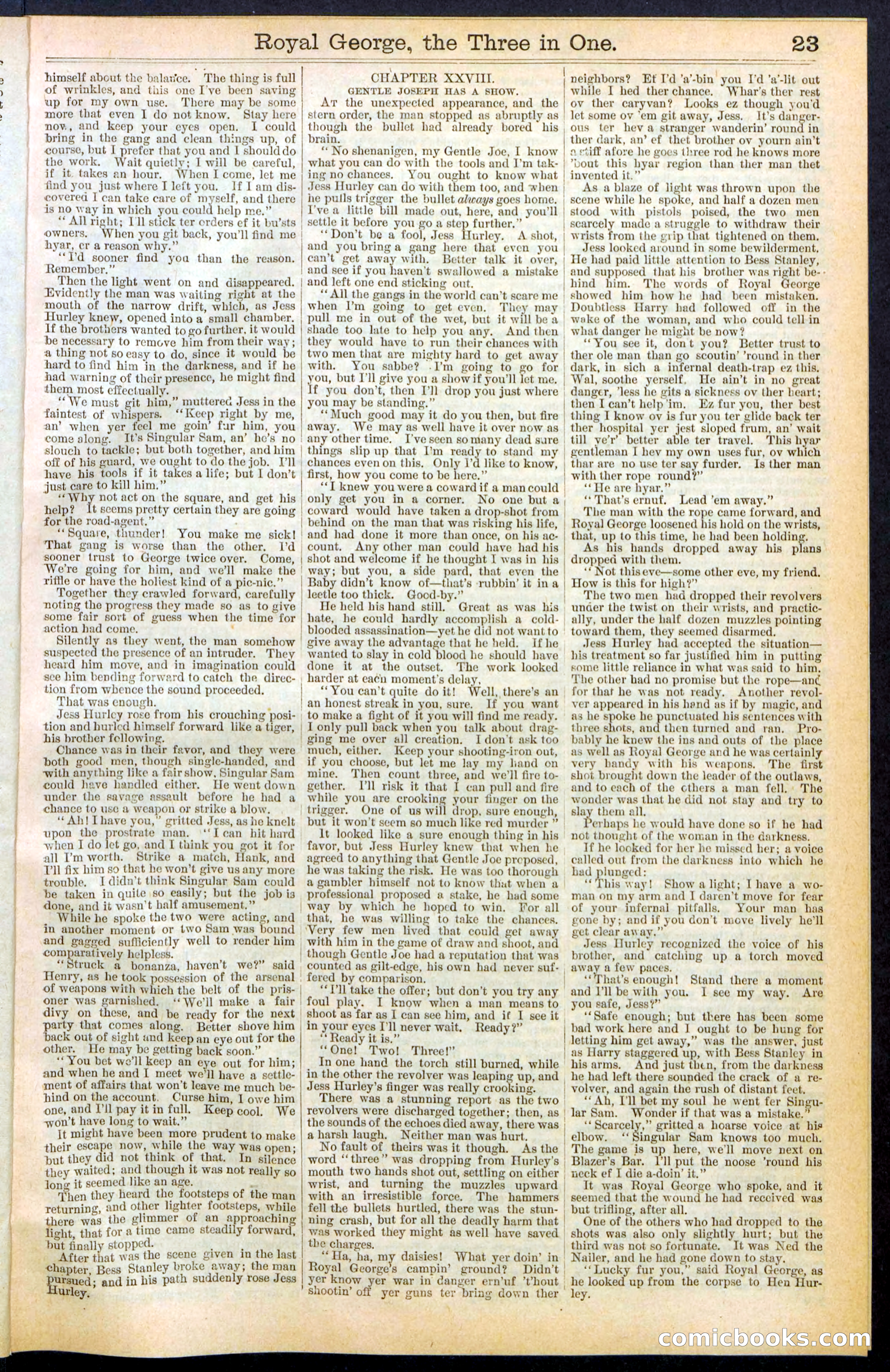 Beadle's New York Dime Library, No. 375 — page 23 of 32