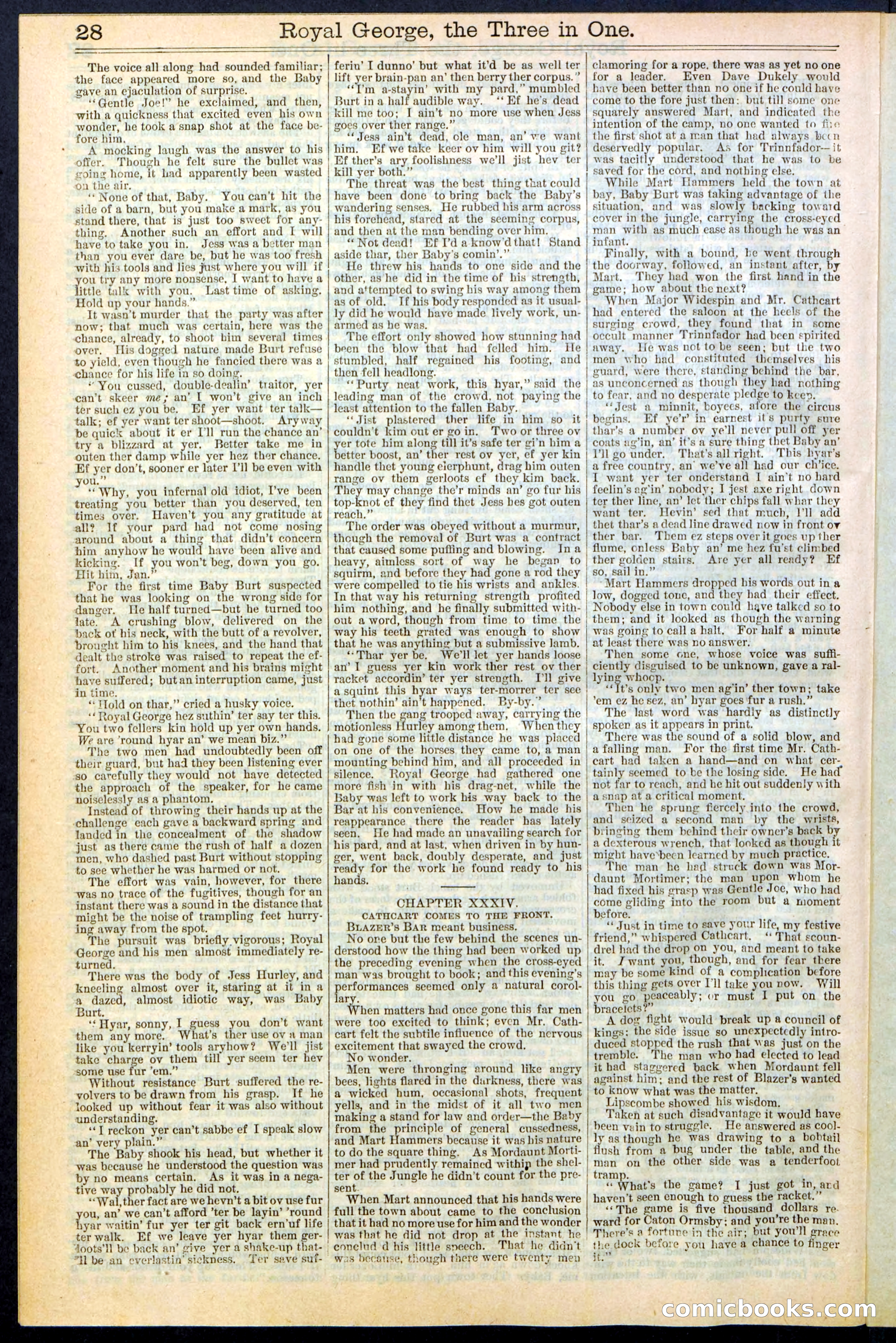 Beadle's New York Dime Library, No. 375 — page 28 of 32