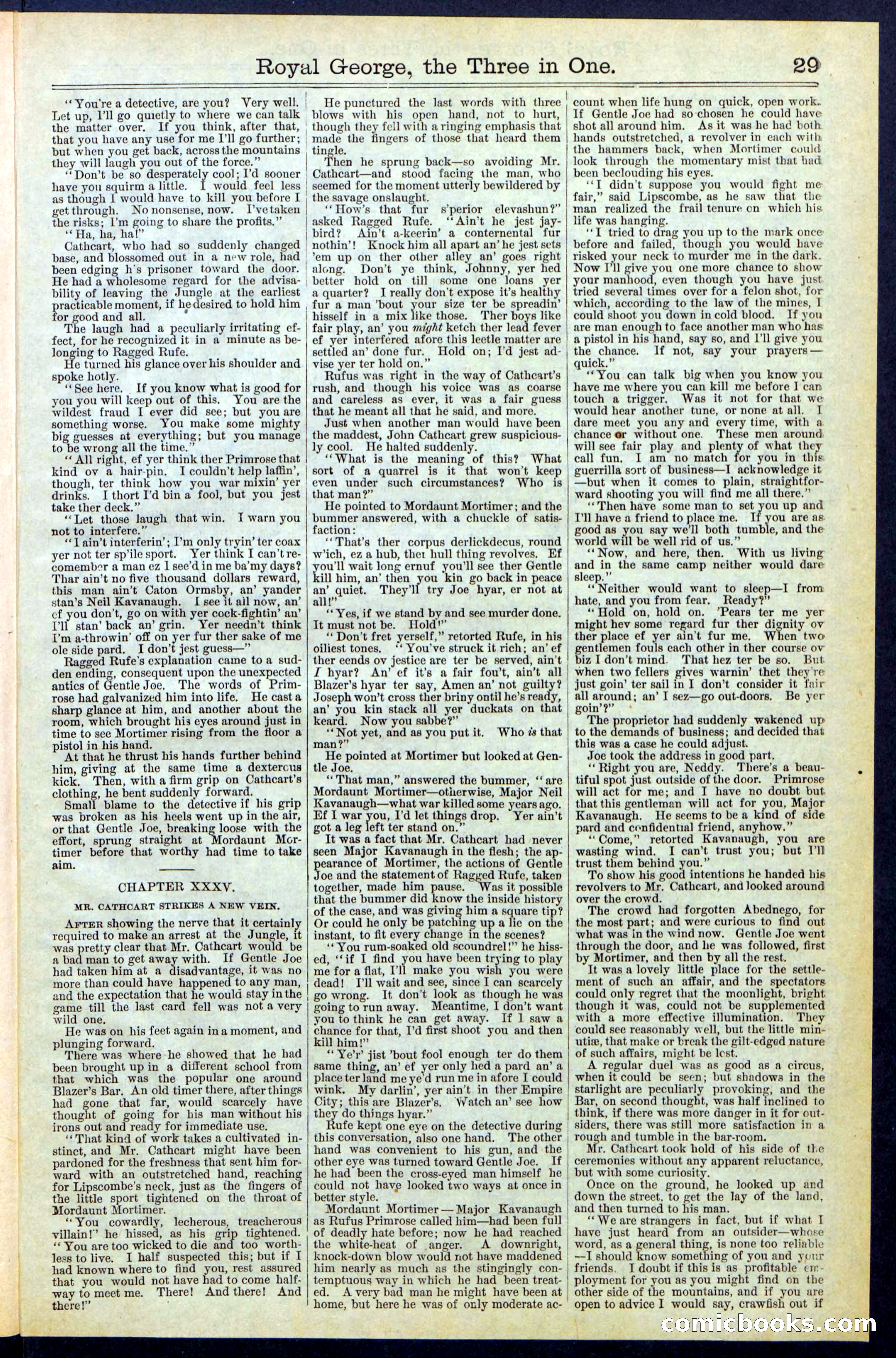 Beadle's New York Dime Library, No. 375 — page 29 of 32