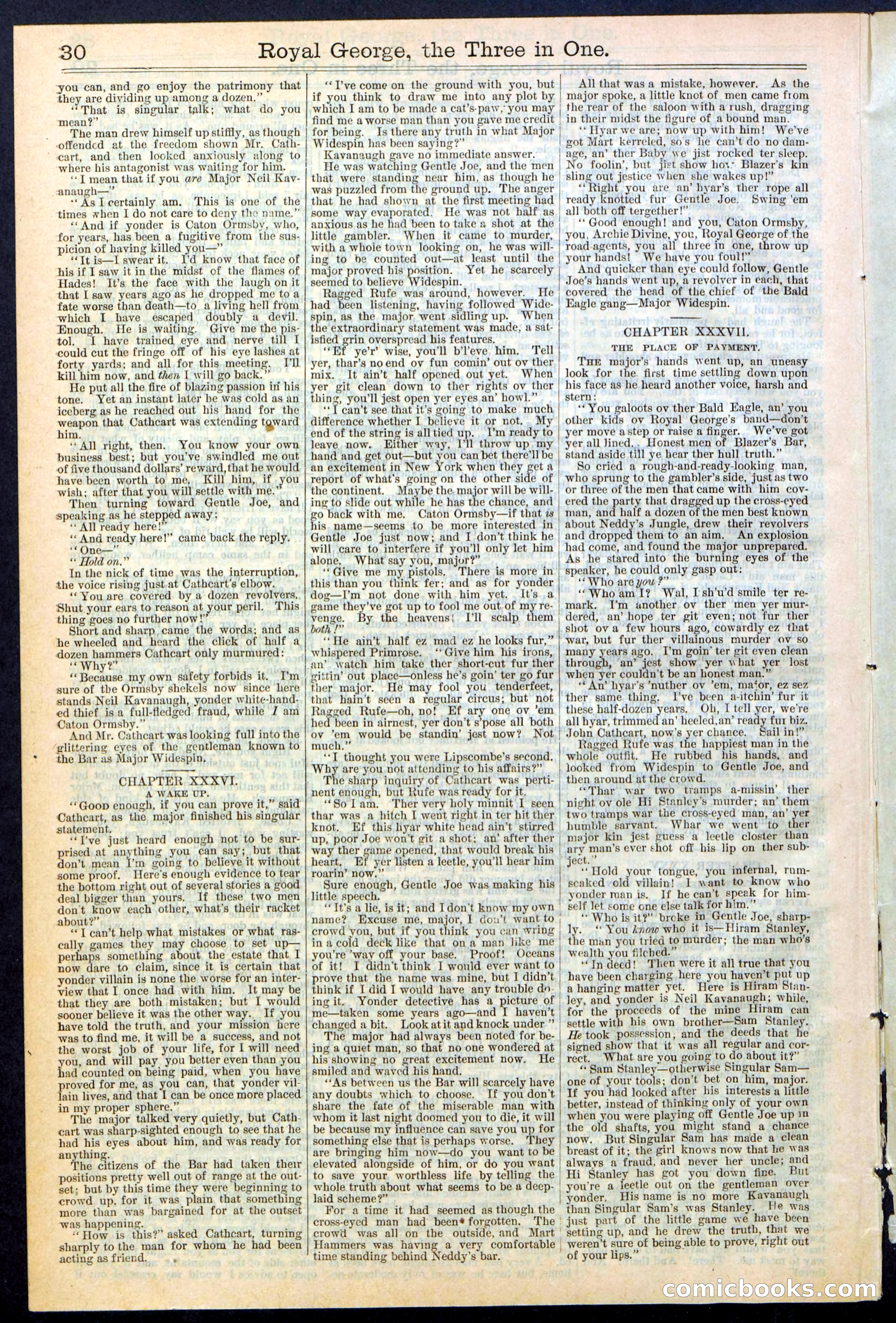 Beadle's New York Dime Library, No. 375 — page 30 of 32