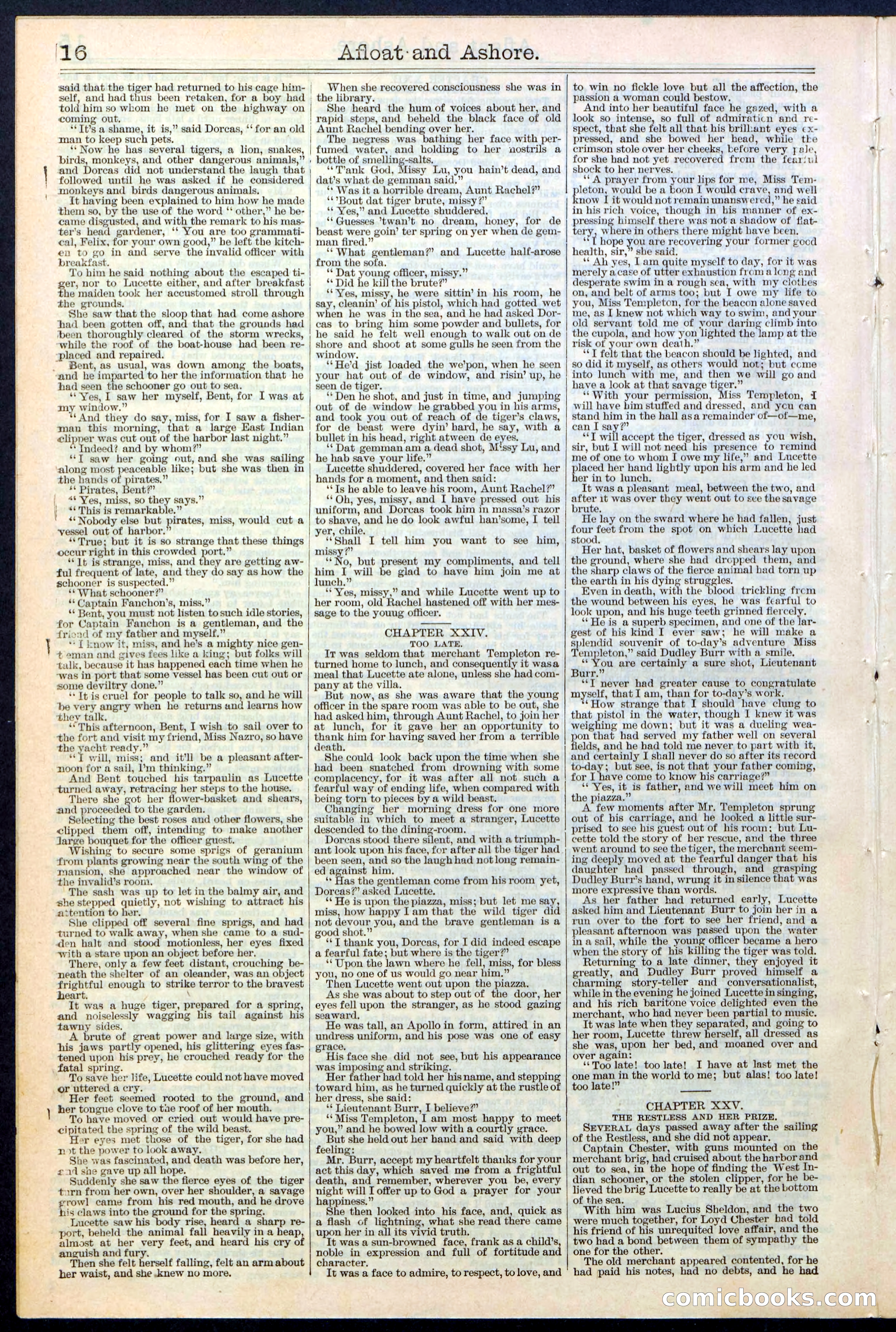 Beadle's Dime Library No. 377 — page 16 of 34