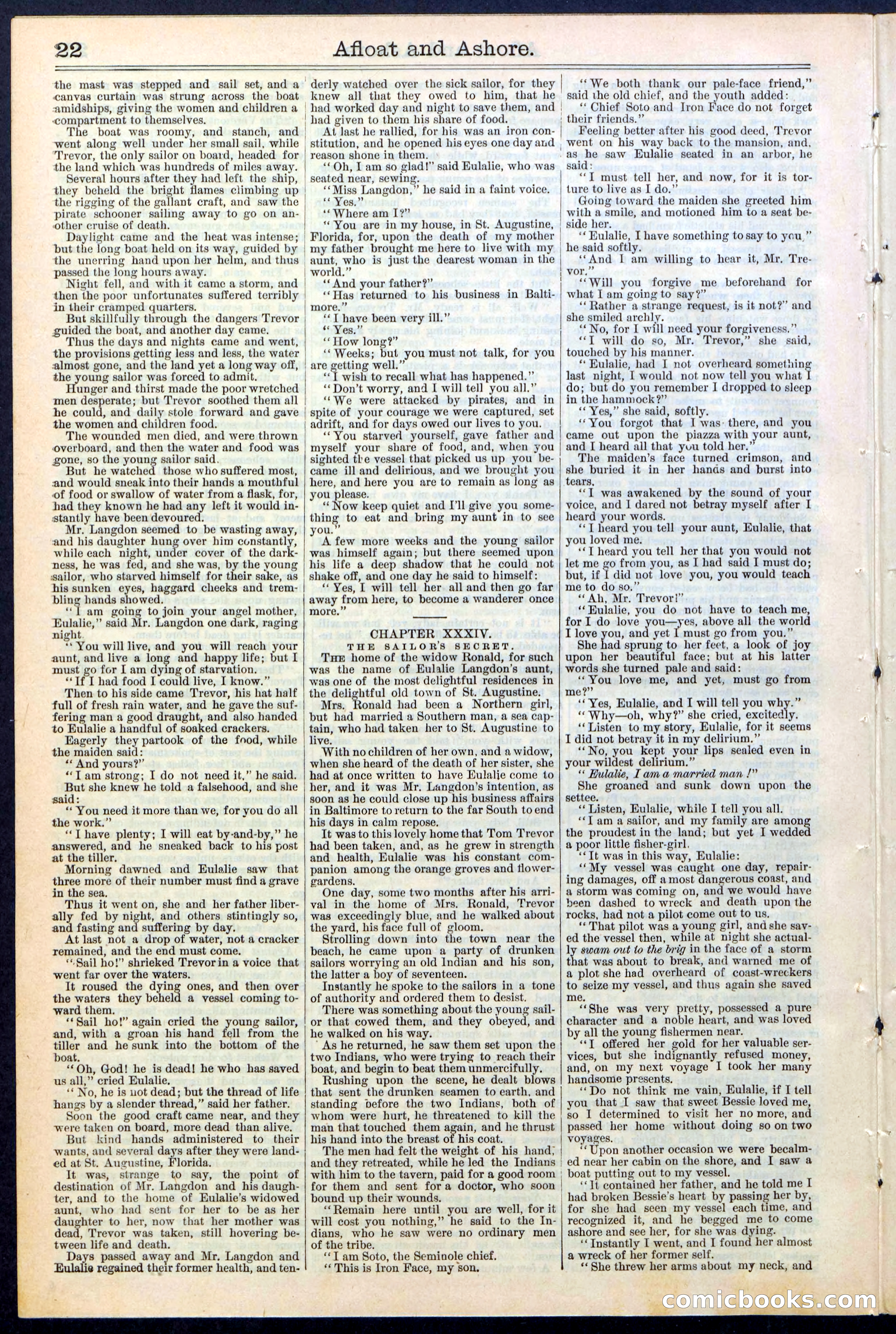 Beadle's Dime Library No. 377 — page 22 of 34