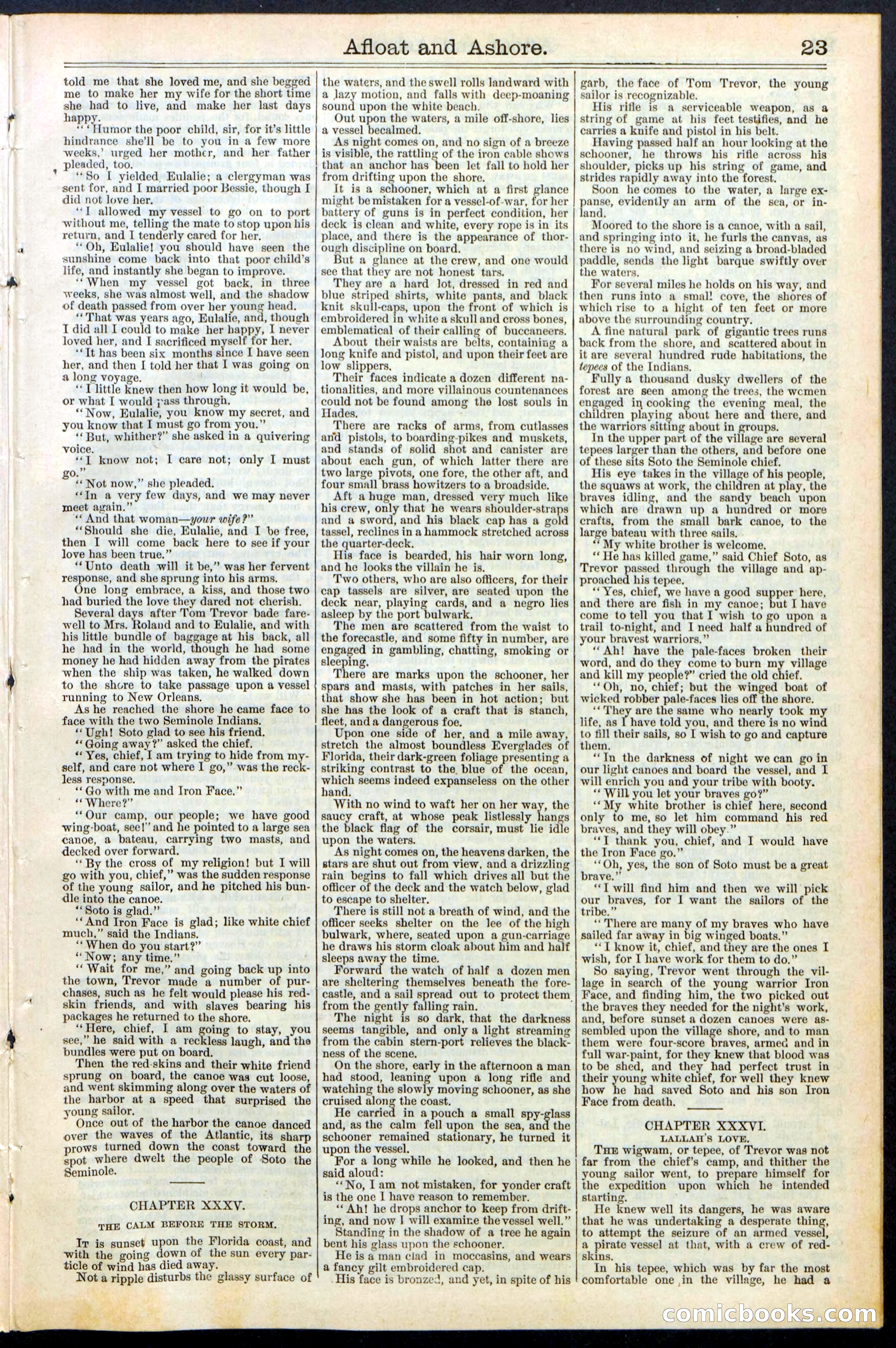 Beadle's Dime Library No. 377 — page 23 of 34