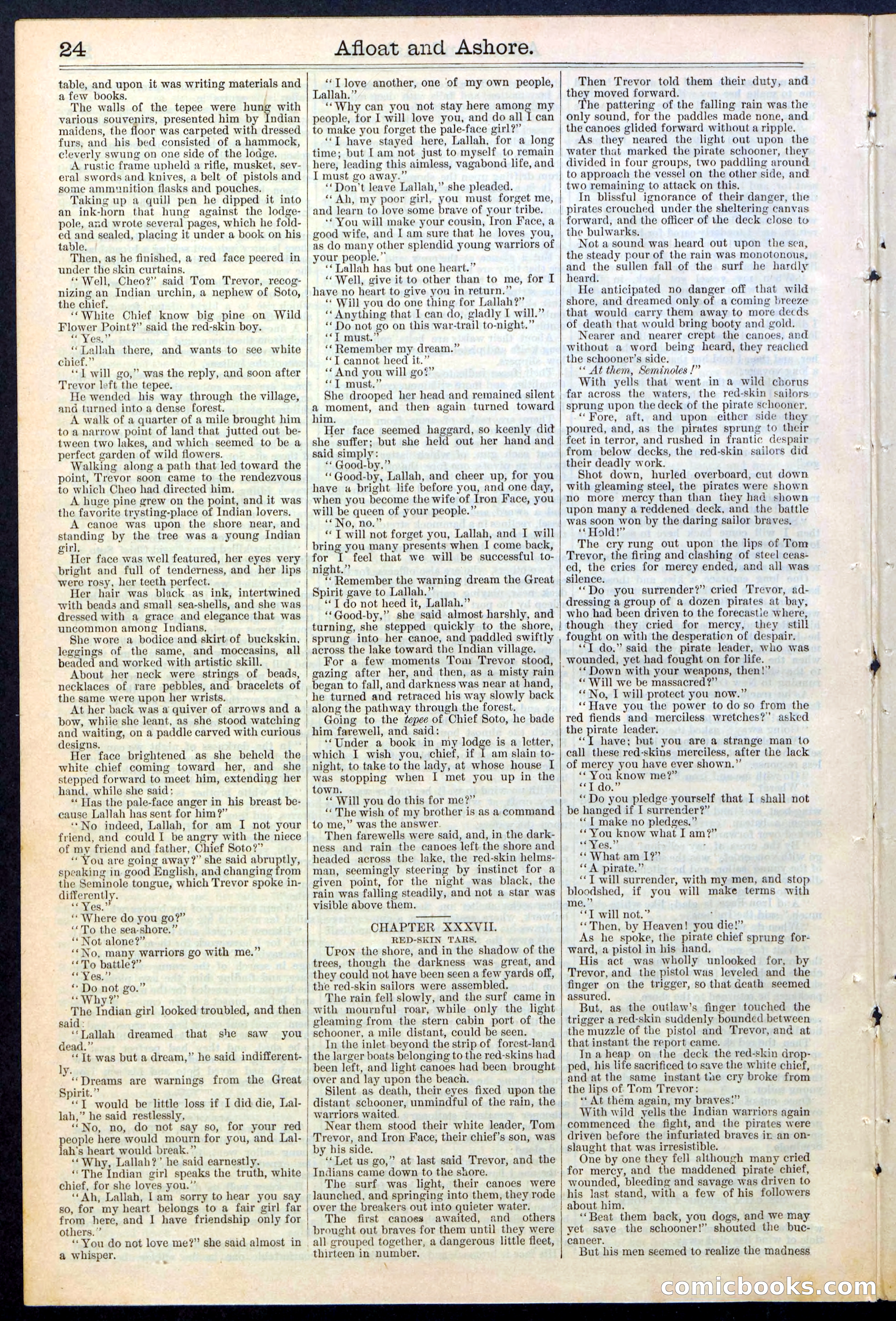 Beadle's Dime Library No. 377 — page 24 of 34