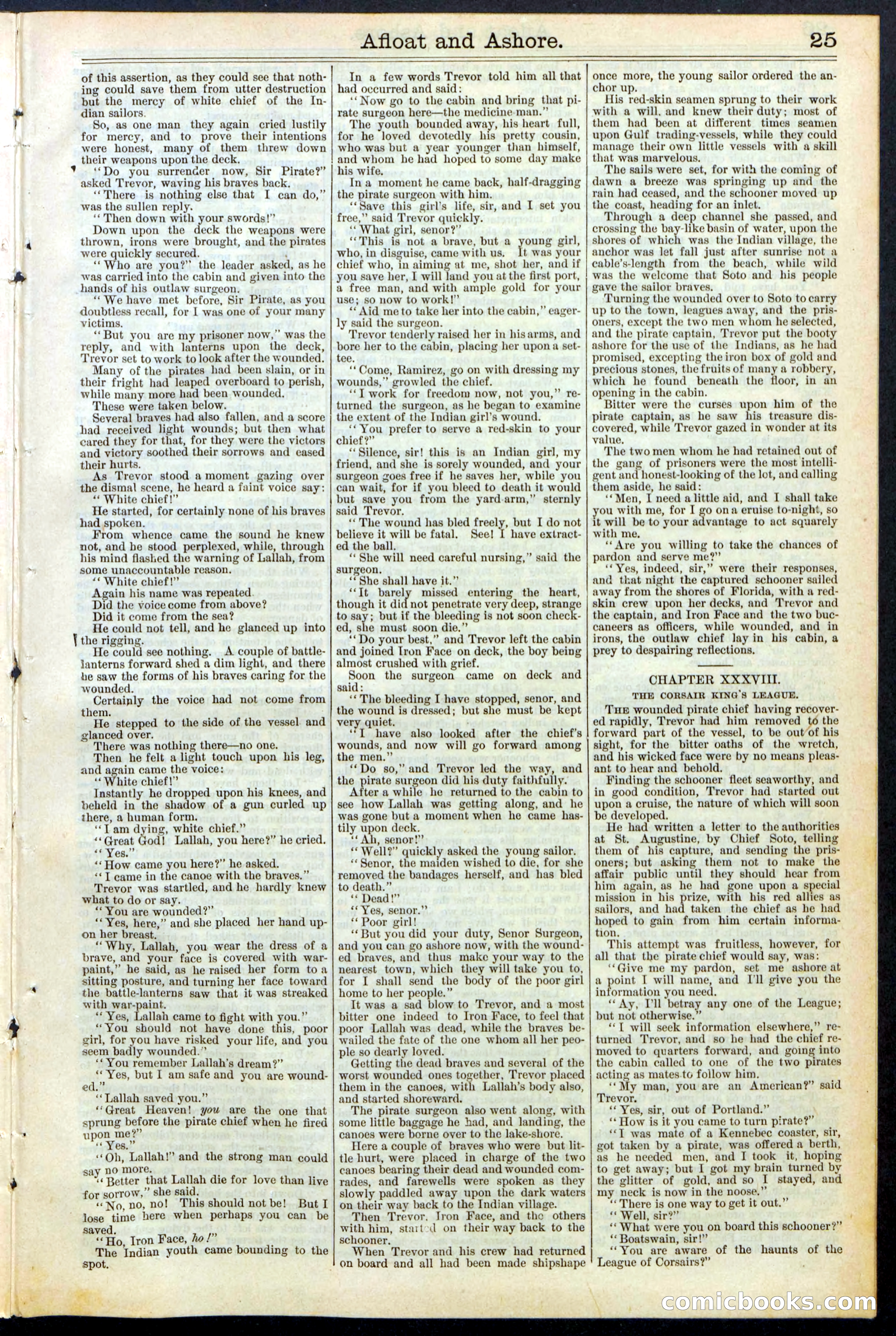Beadle's Dime Library No. 377 — page 25 of 34